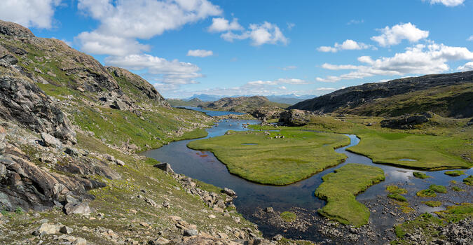 En liten oas på södra sidan av Mellomfjellet.