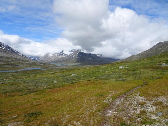 Oallavaggi: sarekliknande och oerhört vacker.