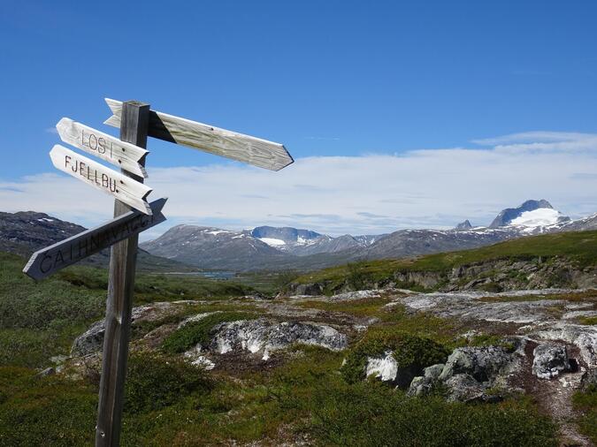 På heden påväg mot Caihnavagge.