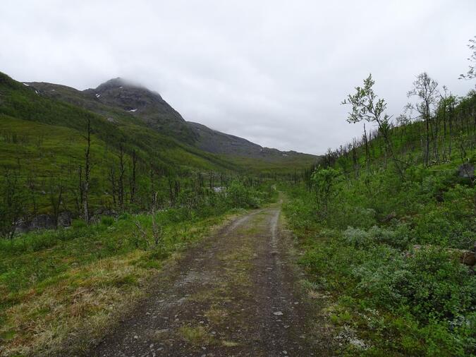 Vägen upp till Hundalshyttan.