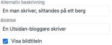 Dialogrutorna för bildens texter