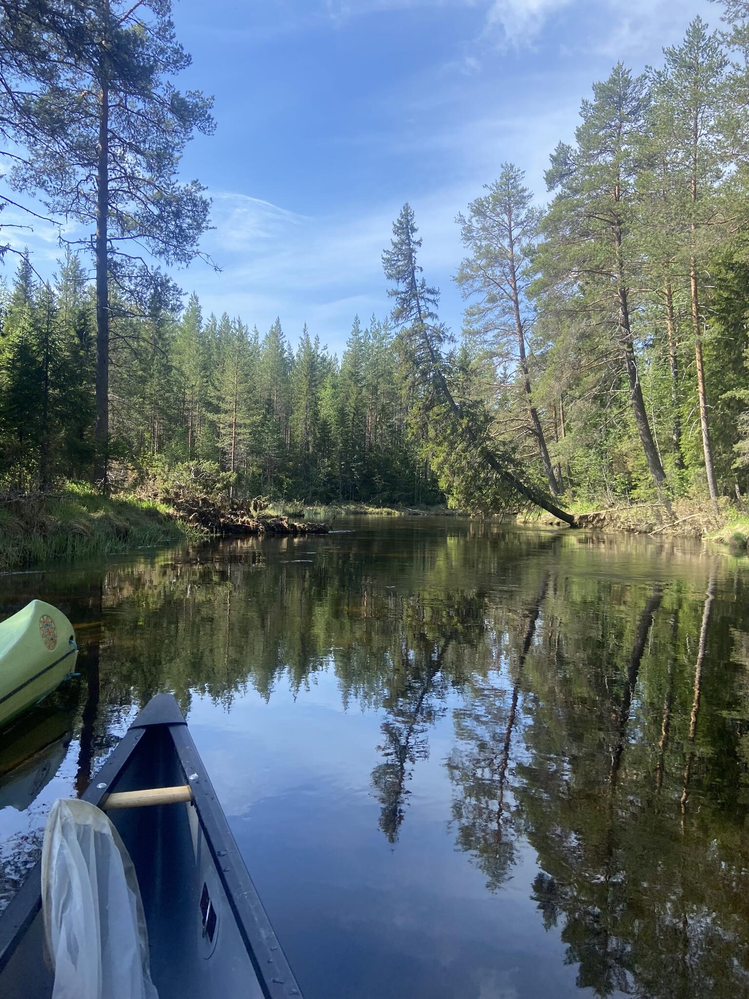 Ån har ett väldigt klart vatten och rinner stillsamt längs skog och myrar.