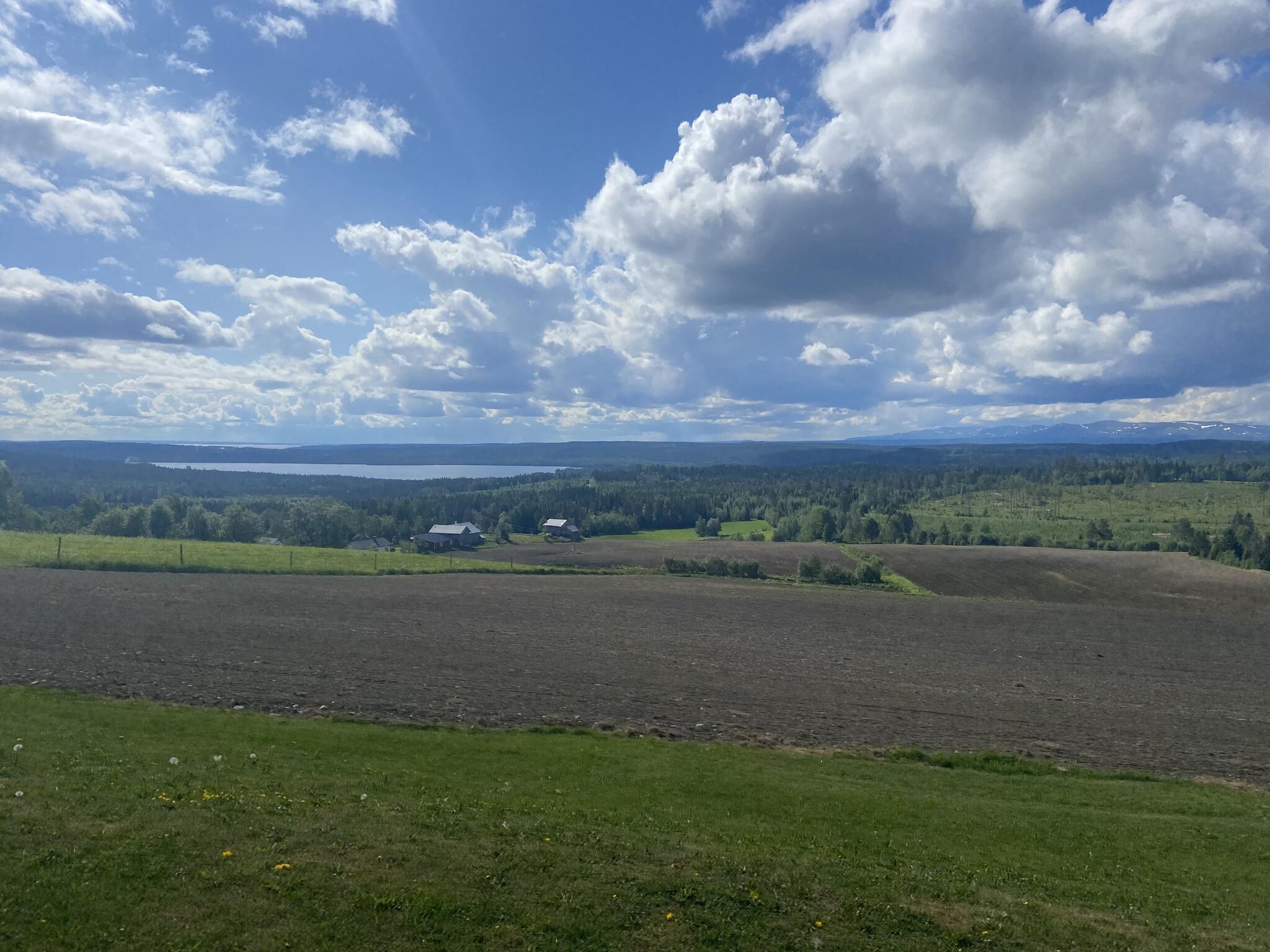 Här från Häljeberg är det fin utsikt.