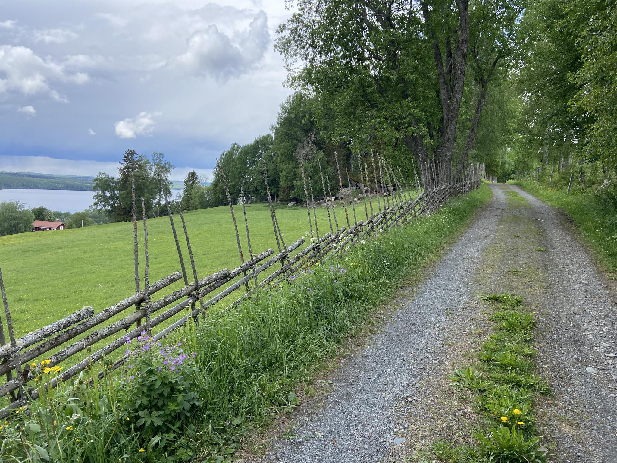 Nära hällristningarna går leden på denna fina väg med gärdesgård, med fjällvy.