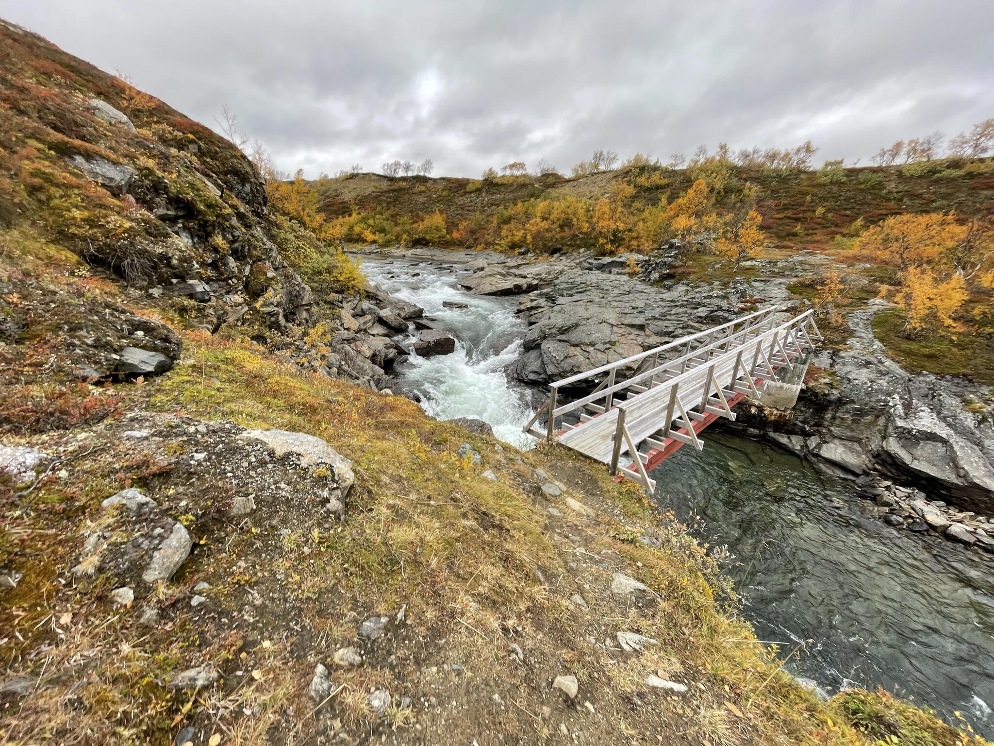 Bron över böljande Storforsen Bron över böljande Storforsen