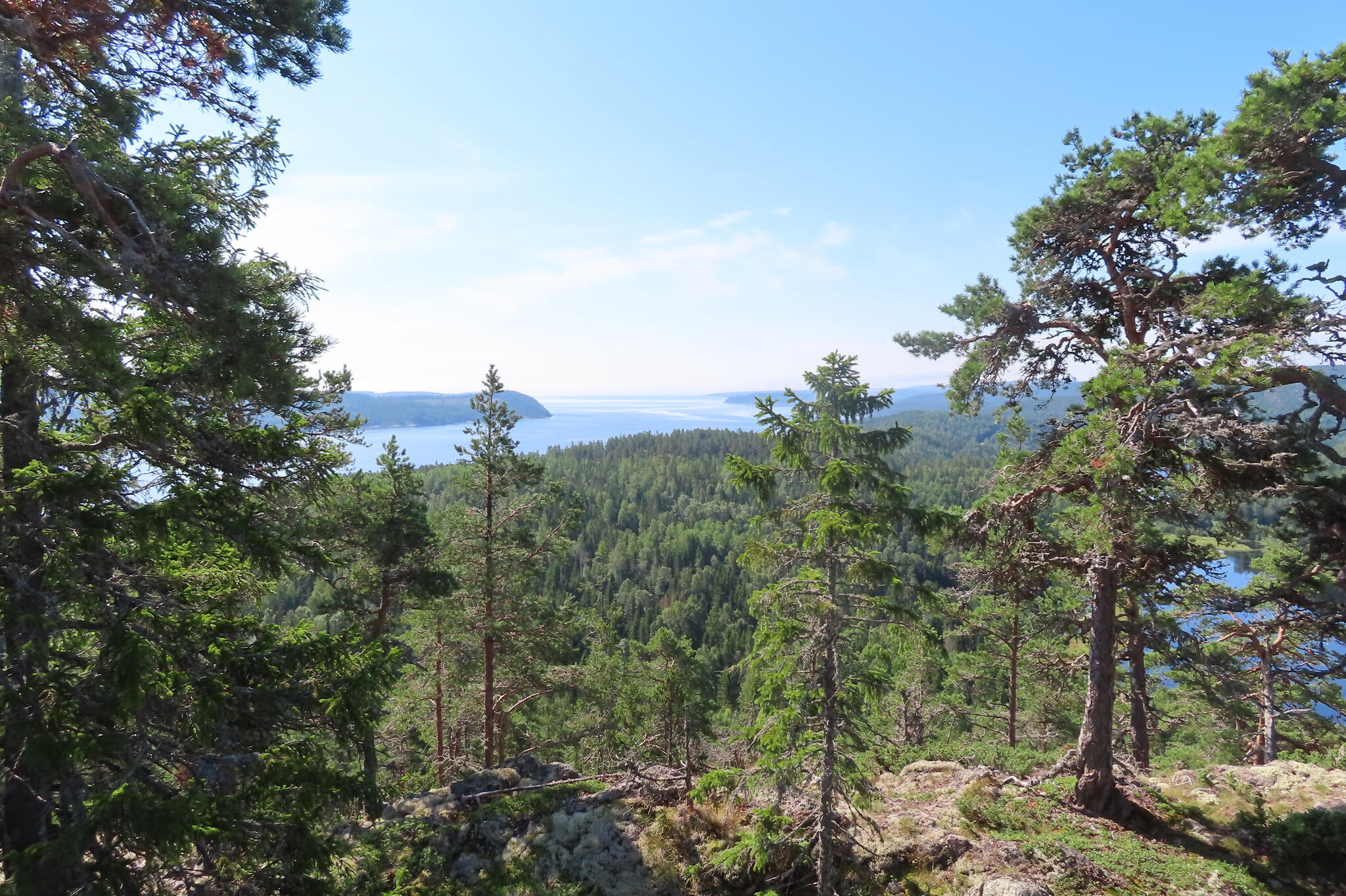 Fin utsikt från Stor Hålsångberget. Jag kunde därifrån se bakåt där jag kommit ifrån.