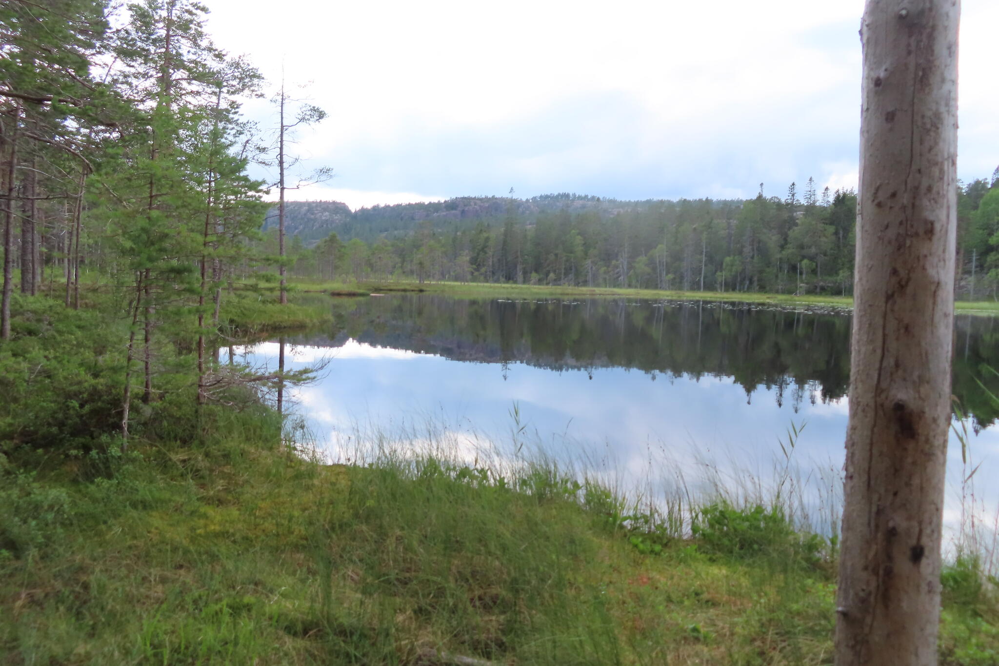 Efter Tärnättvattnet går leden på en sträcka som var ny för mig, förbi en myr och sjö och genom fin skog. Förbi ett litet vattenfall.