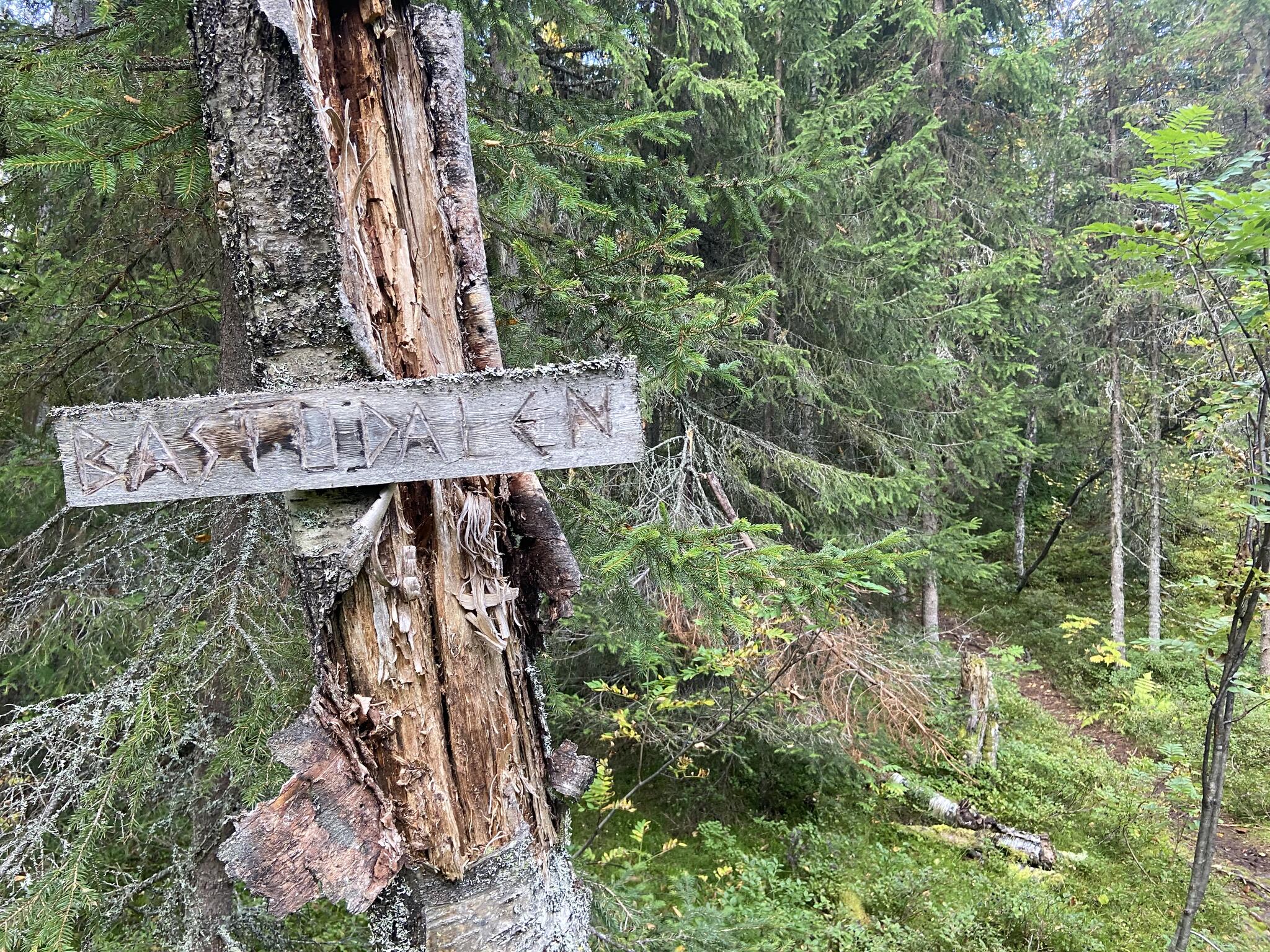 Rastdalen heter tydligen denna lilla sänka. Här hade man kunnat tälta.