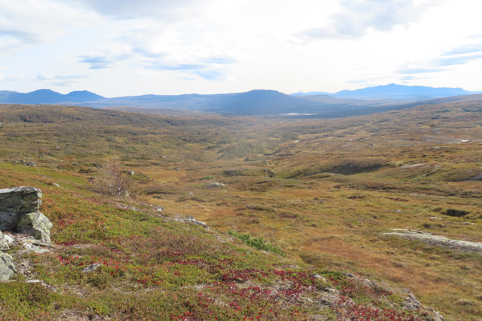 Dalen öster om Klukstugan såg inbjudande ut att tälta i och skida runt bland fjällbjörkarna. Dit vill jag återvända.