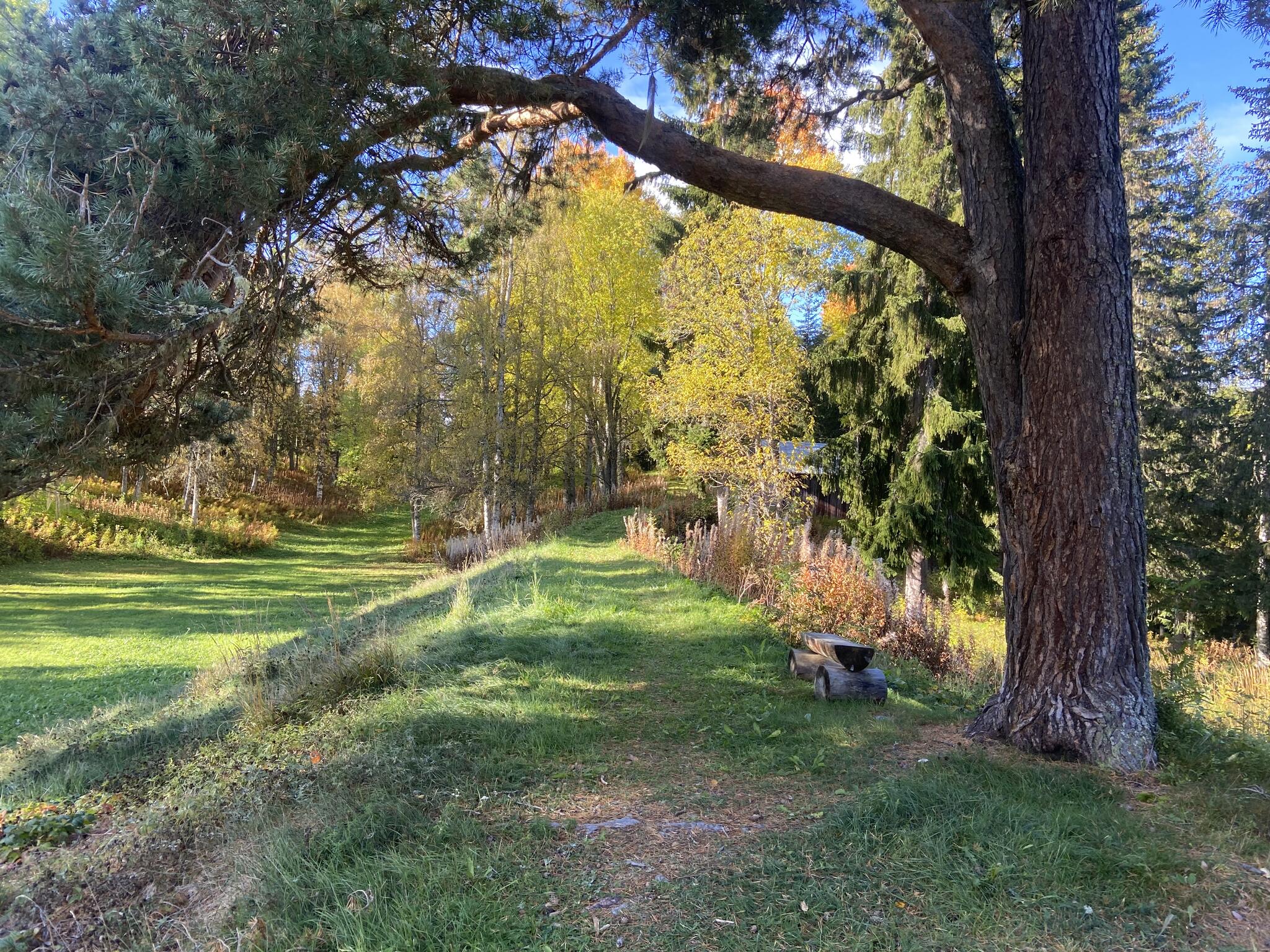 Här går leden på en ås.