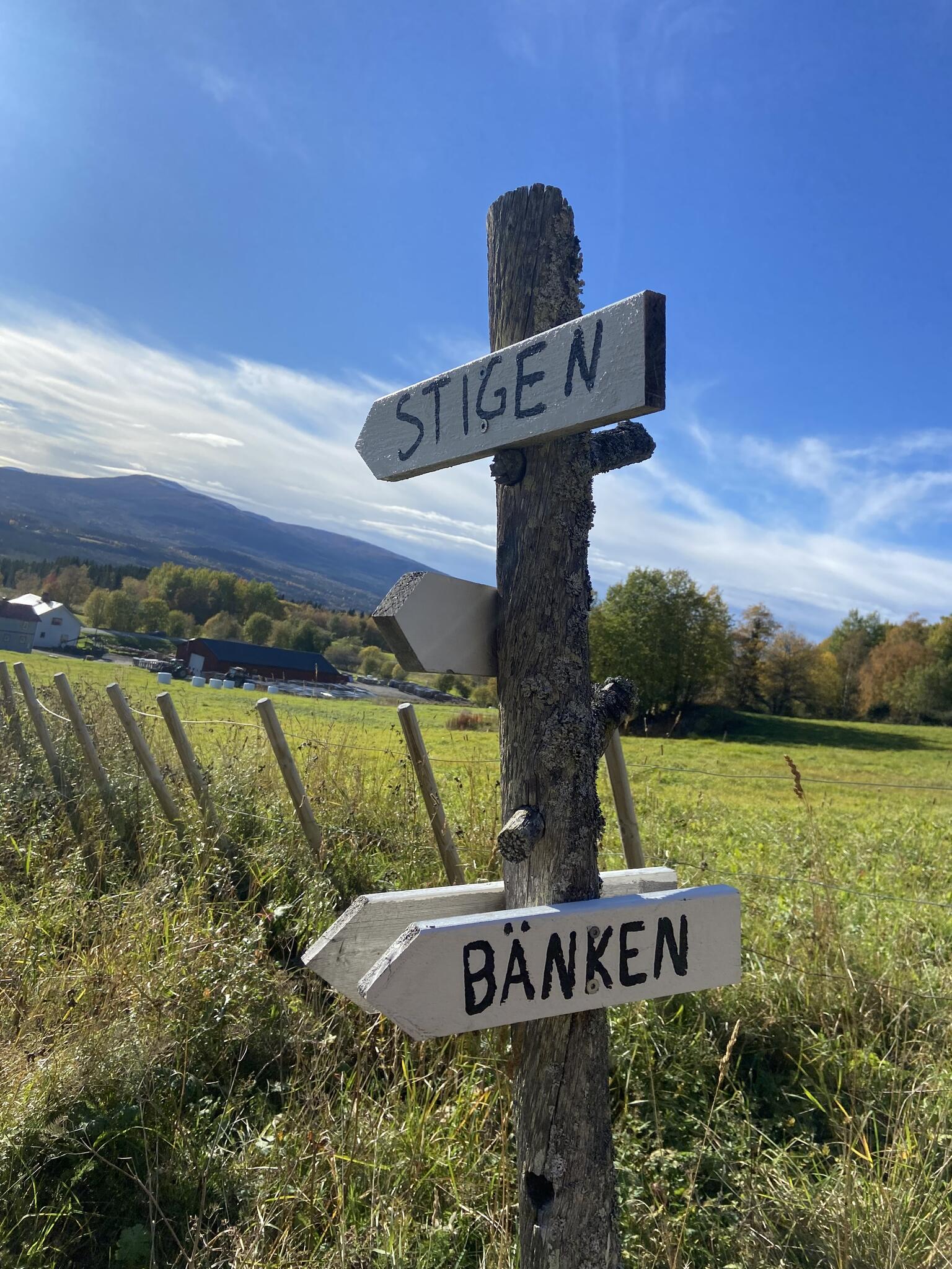 Strax innan Undersåker kom en följd av de här roliga skyltarna. Som om lokalbefolkningen tröttnat på att svara vandrare på frågan ”Var är stigen?”. De svarar ”Här är stigen. Och här är förresten bänken också”.