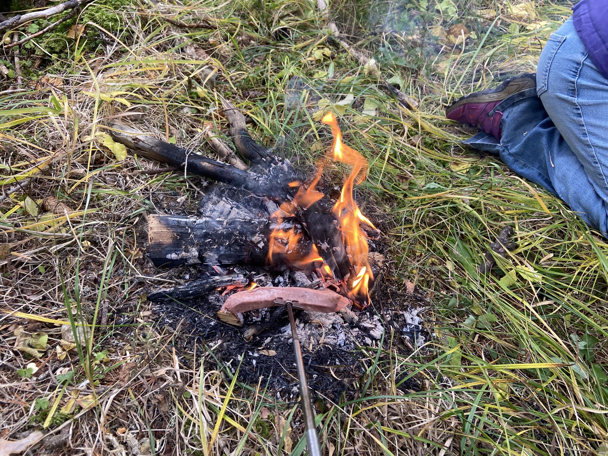 Vi gjorde en brasa och grillade korv.