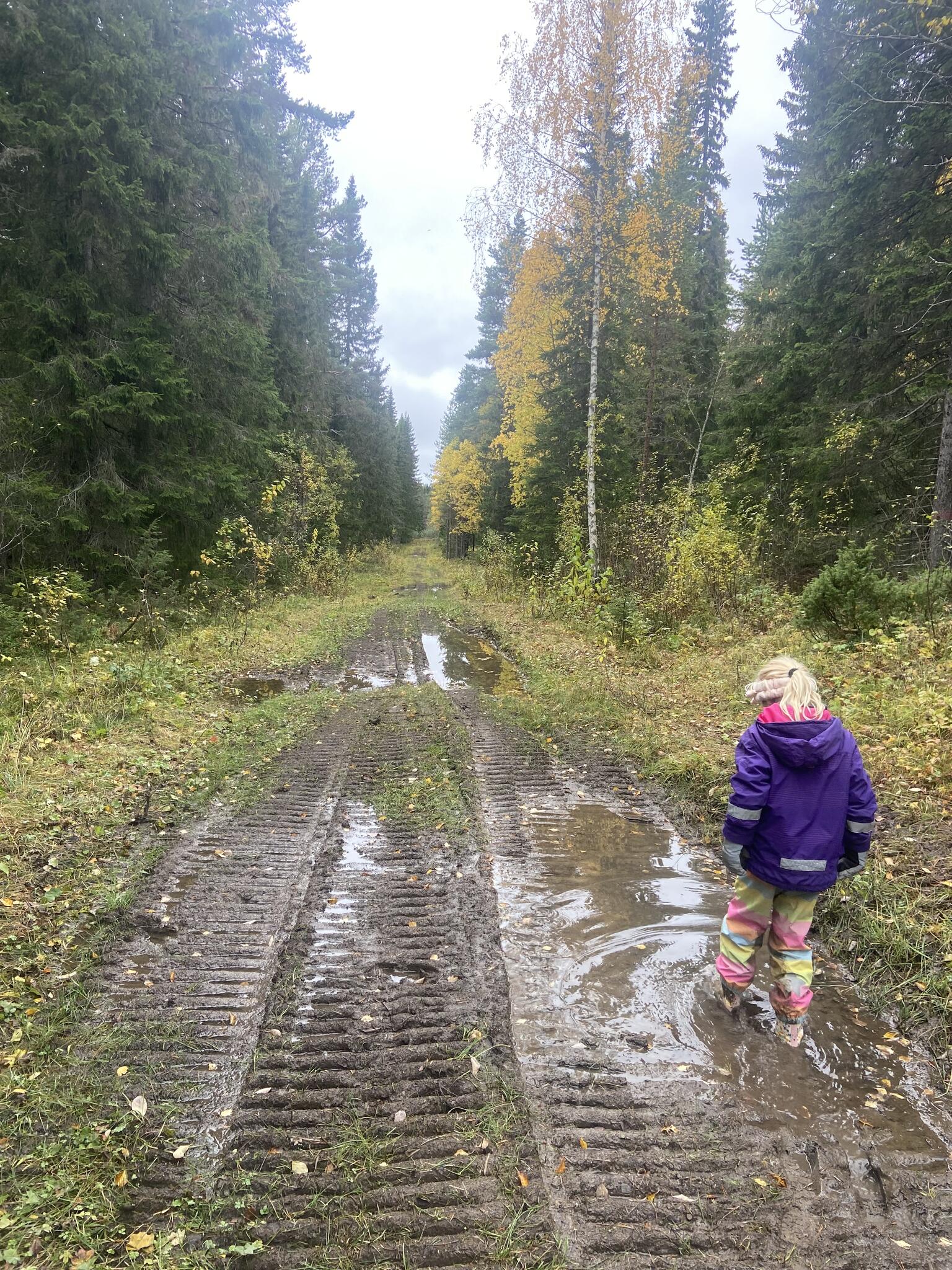 Det visade sig att området används av militären för att köra med bandvagn och motorcykel. Det som såg ut som stigar på kartan var i själva verket bandvagnsvägar.