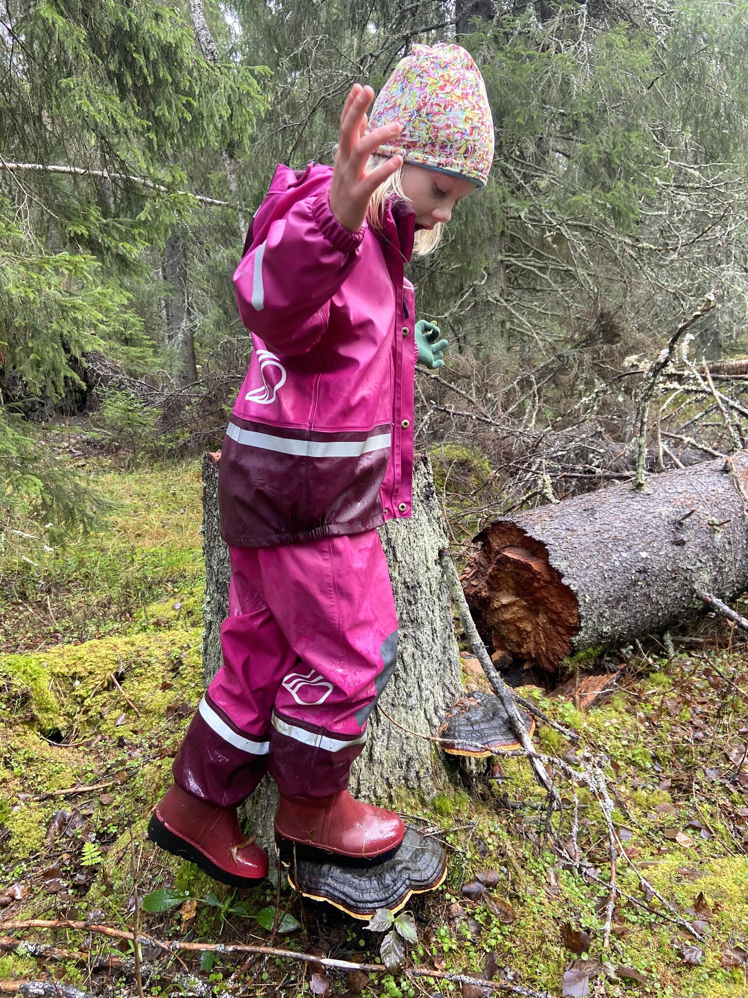Balansera på en stor klibbticka.