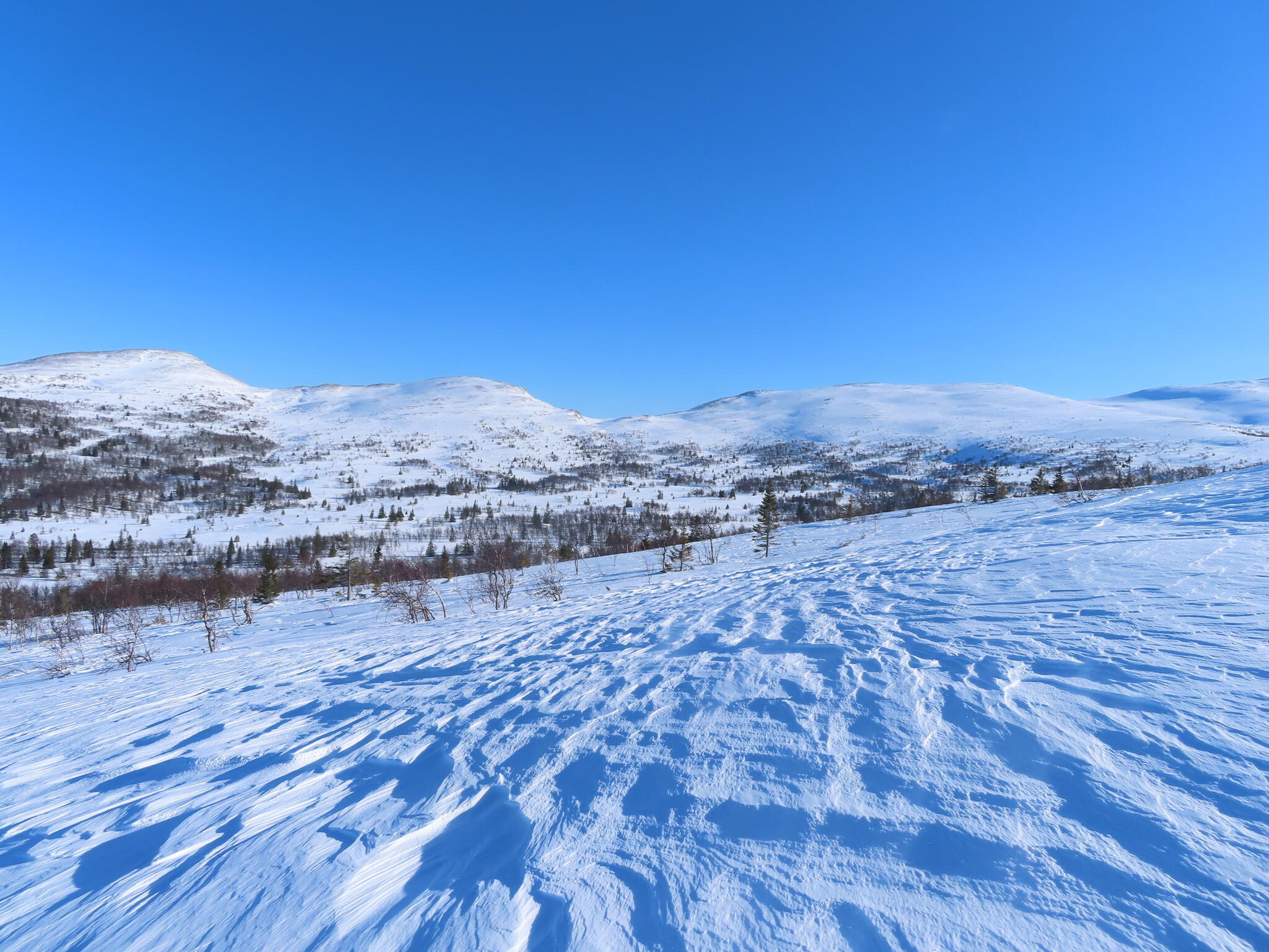 Vi skidade ner i den stora dalen Storgrubban på norra sidan av fjället. Och tog sikte på ett pass på andra sidan dalen.
