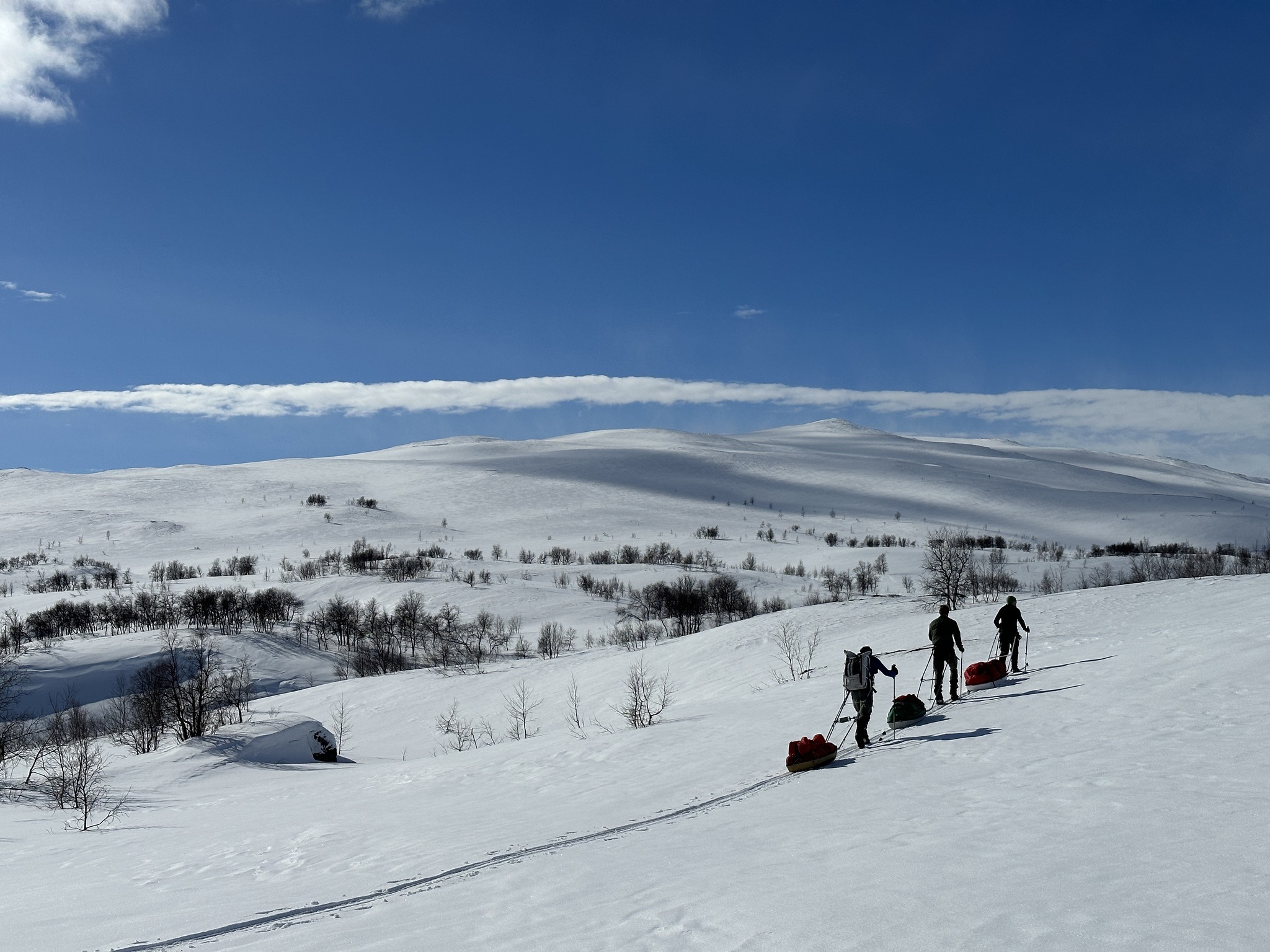 Foto: Kristofer Björkman