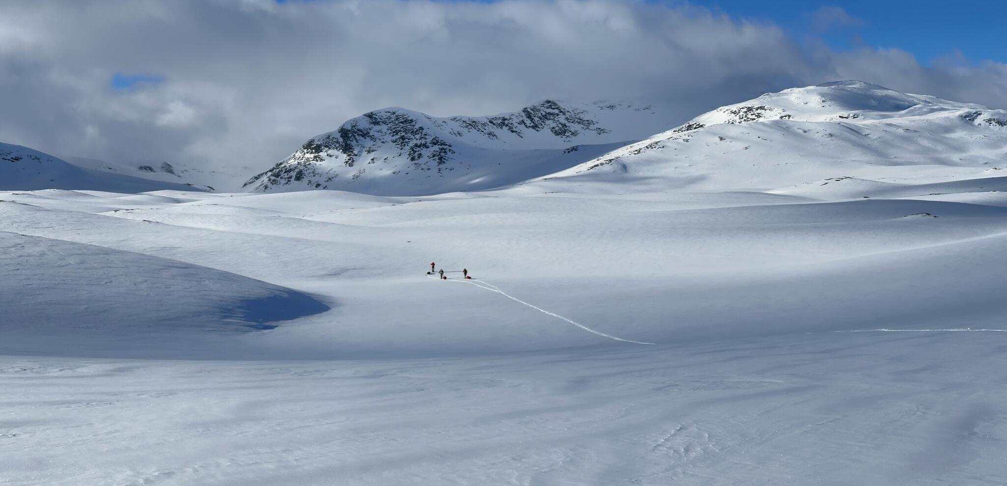 Foto: Kristofer Björkman