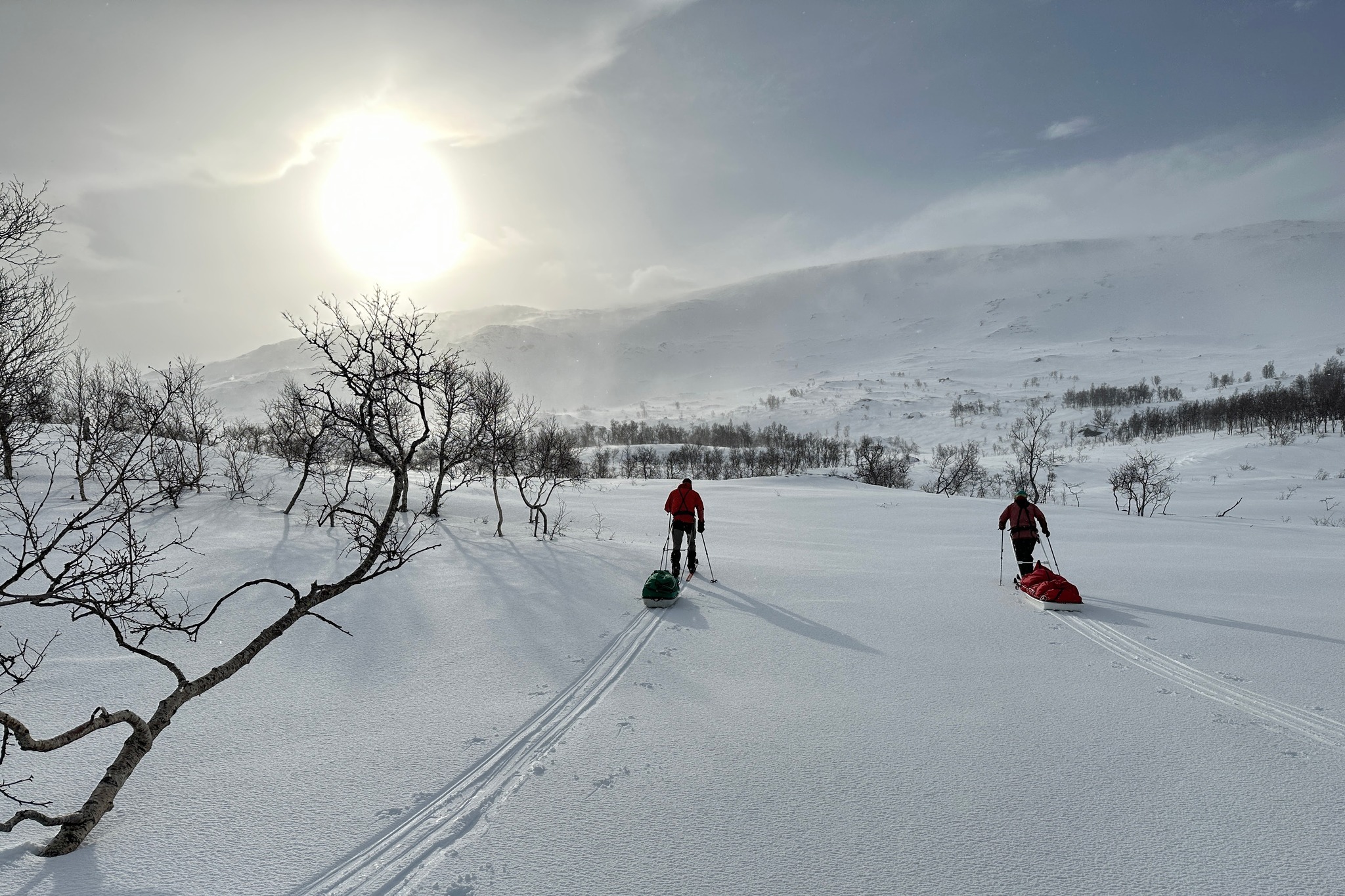 Foto: Kristofer Björkman