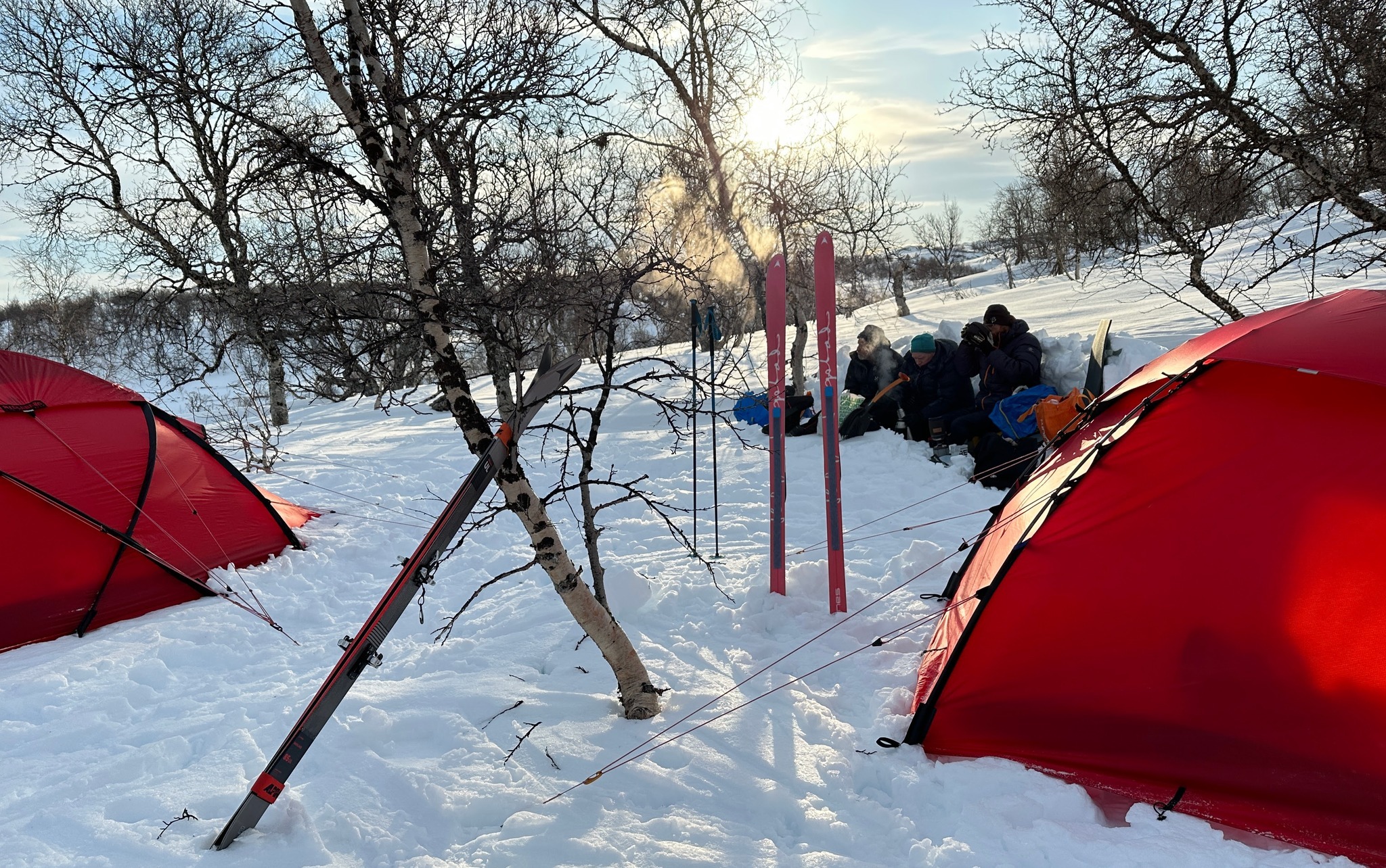Vi hittade en fin tältplats i björkskogen. Foto: Kristofer Björkman