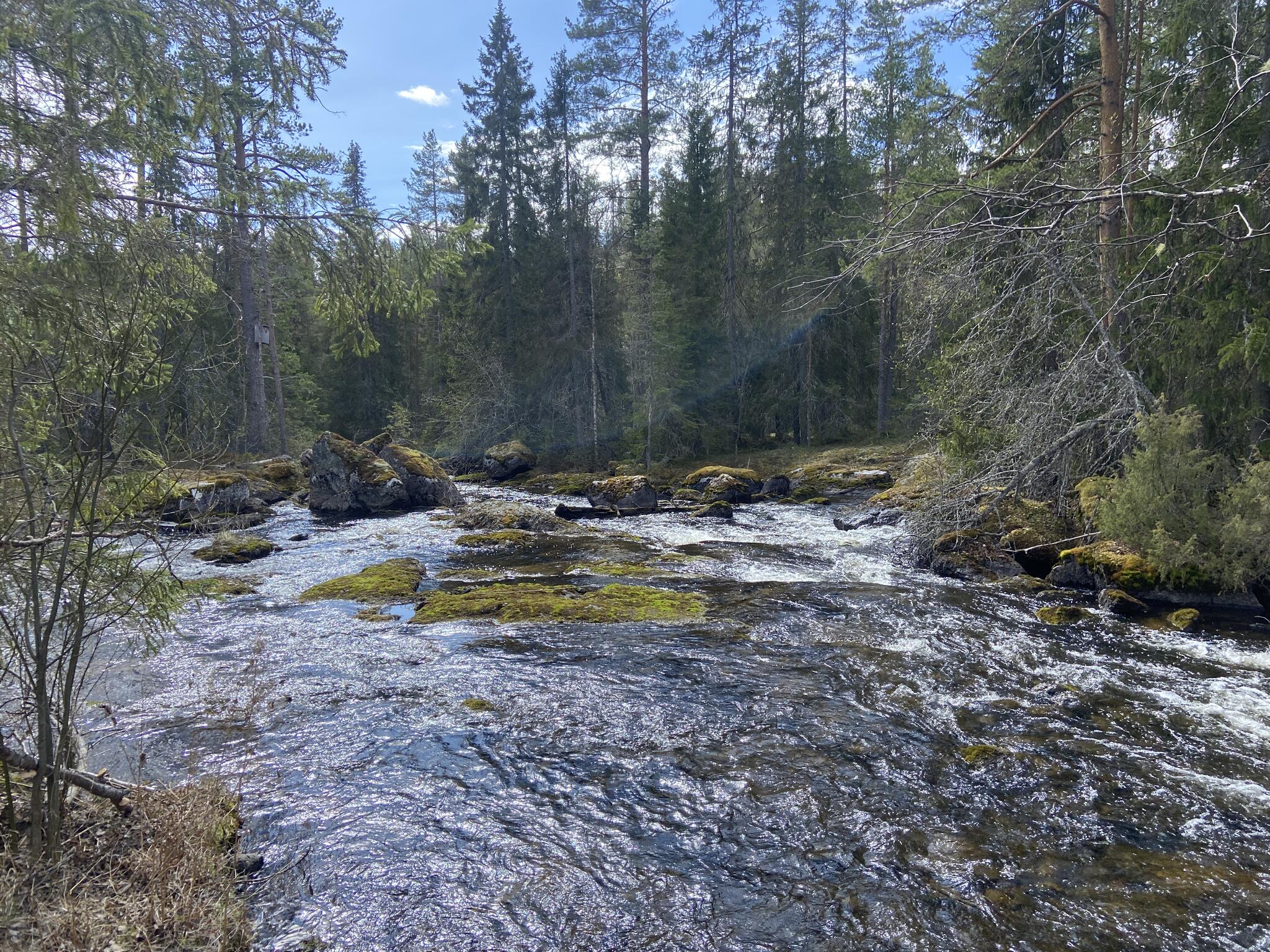 Här paddlade vi inte