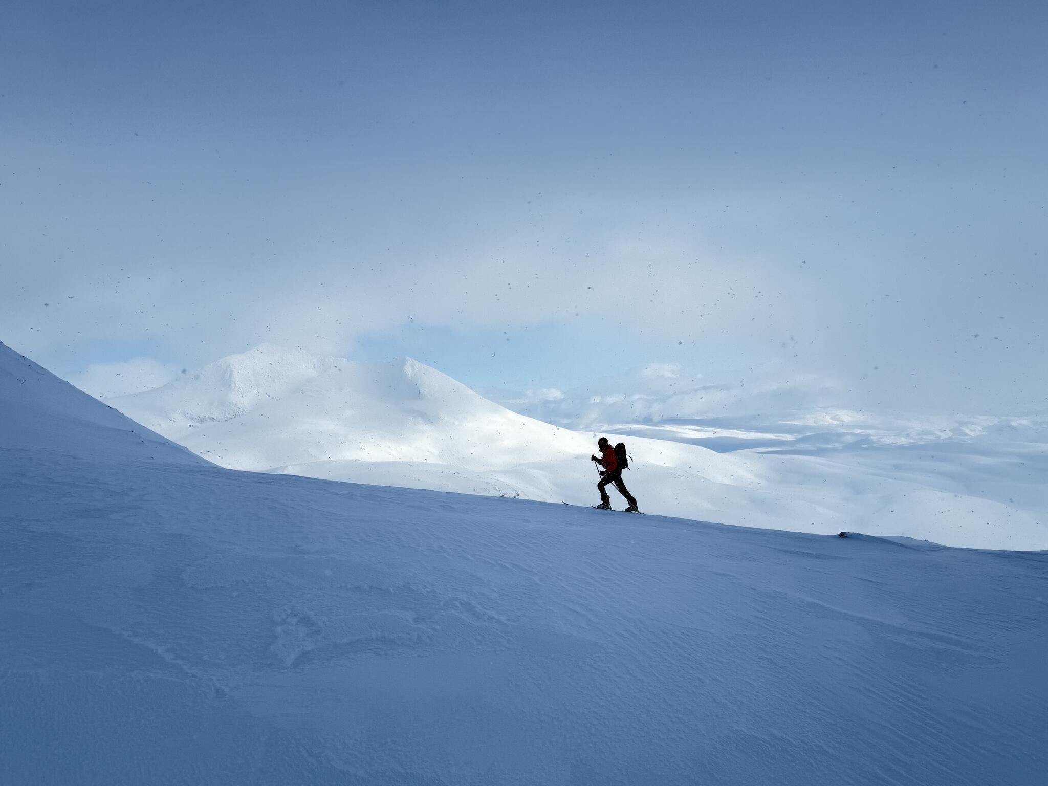 Foto: Kristofer Björkman