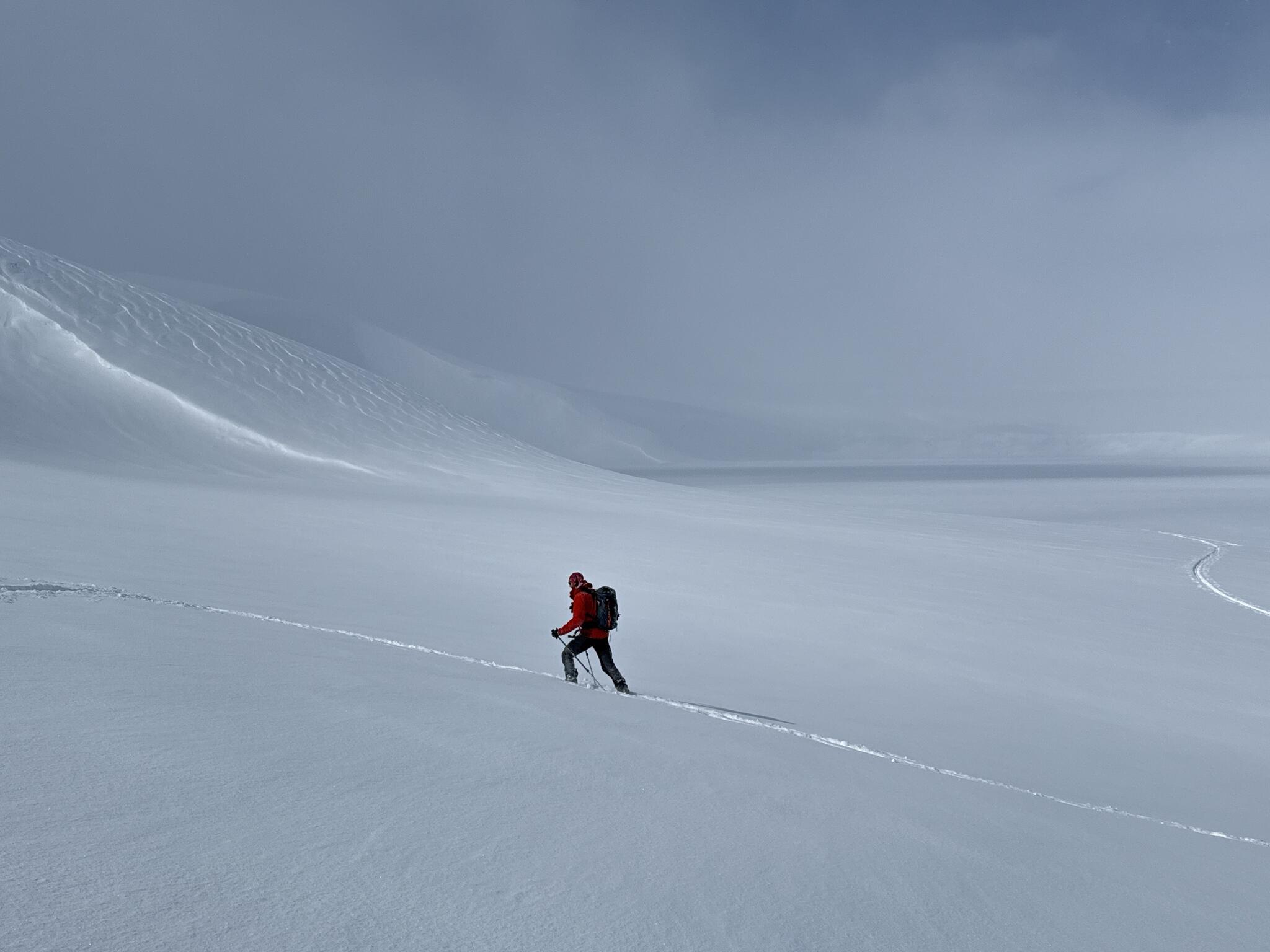 Foto: Kristofer Björkman