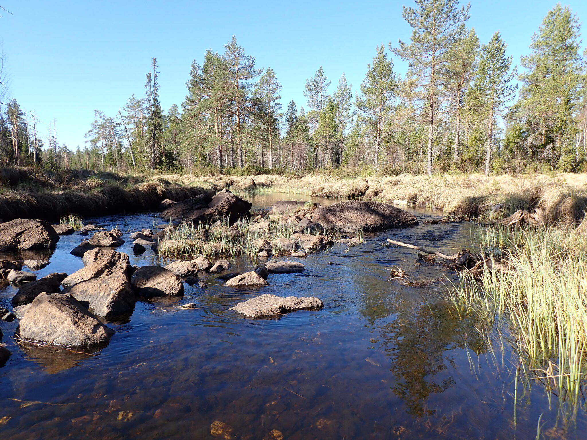 Några sådana här steniga korta ström-partier finns. Då får man kliva ur och gå några meter.