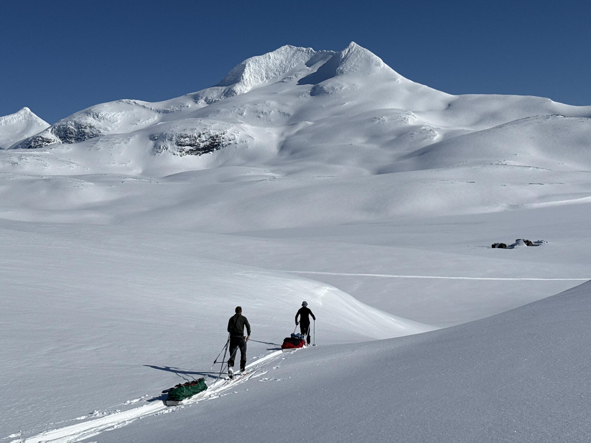 Foto: Kristofer Björkman