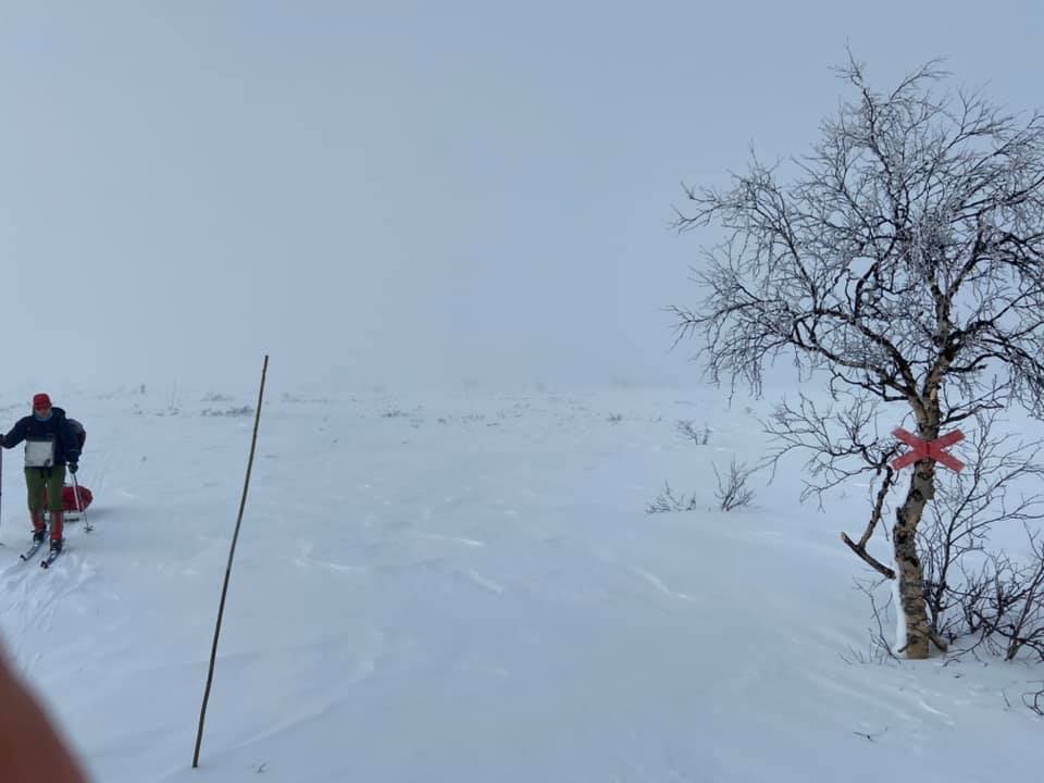 Innovativt att spika upp ledkryss på träd. Verkar ha hållit bättre än de andra kryss vi passerat, då ALLA ledkryss i plast verkar ha ramlat eller blåst bort.