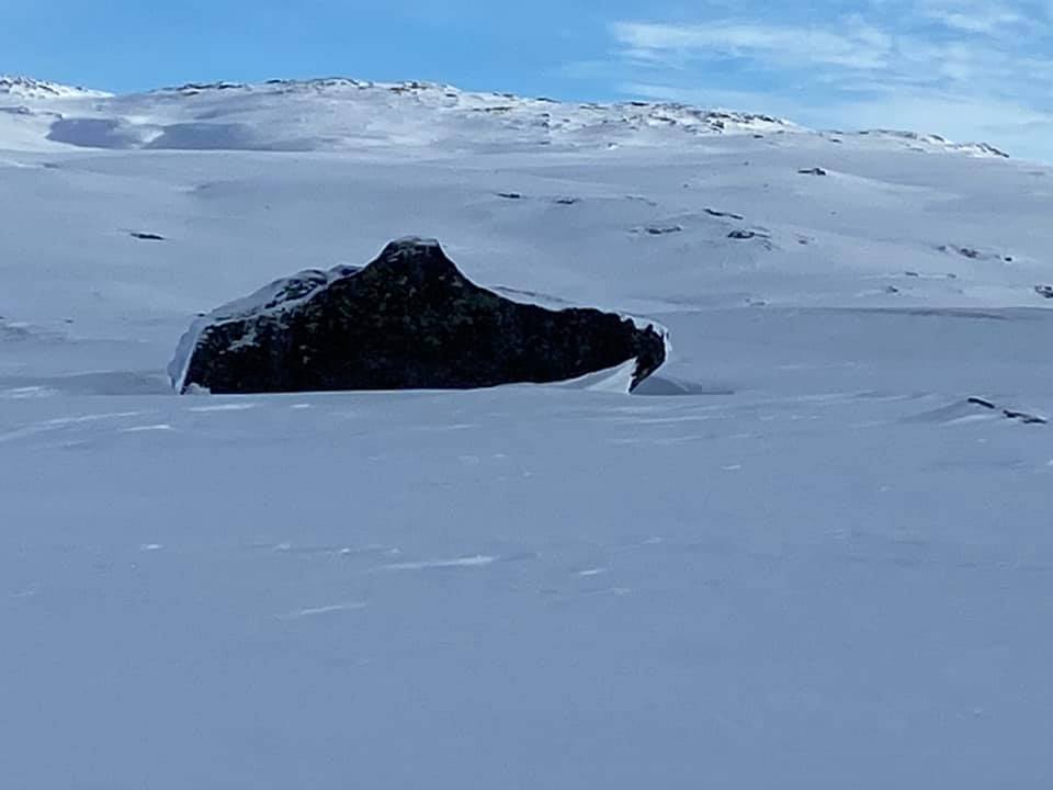 En två meter hög Ahlgrens bil?