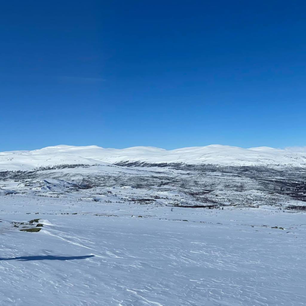 Abisko visade sig från sin bästa sida.