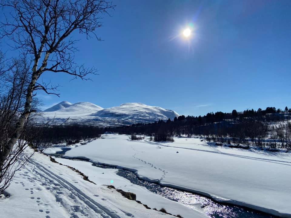 Abiskojokken. Vårvinter när den är som bäst.