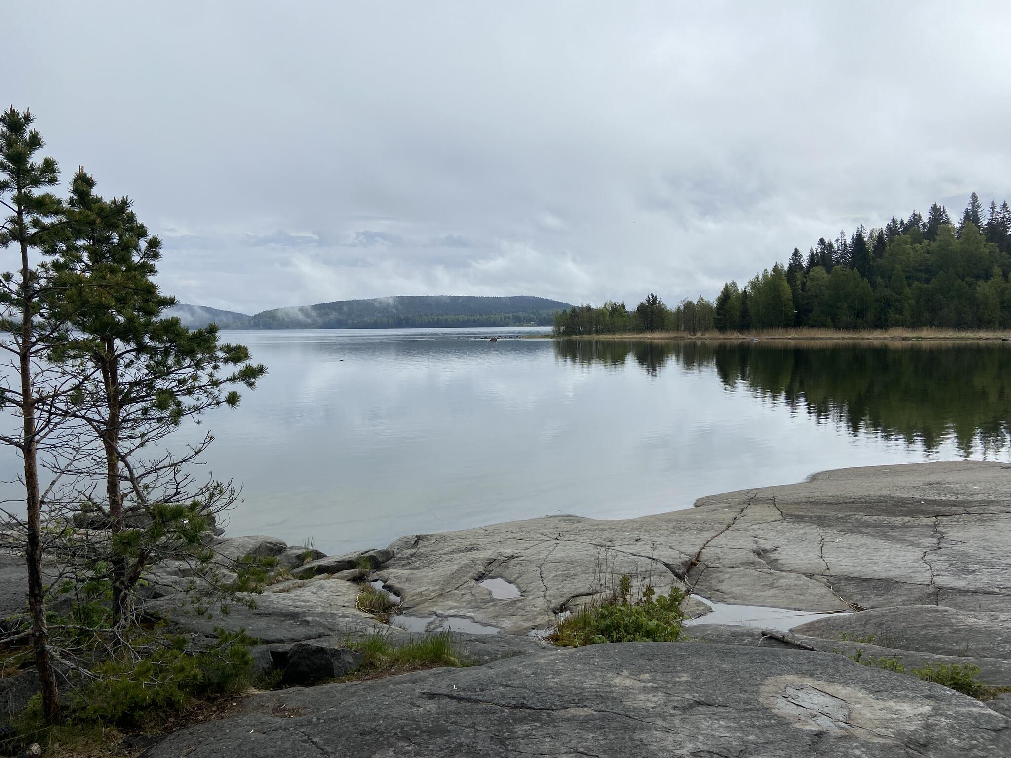 Vi gick en liten kvällspromenad längs öns klippstrand. Lugnt och stilla. Mycket fåglar.