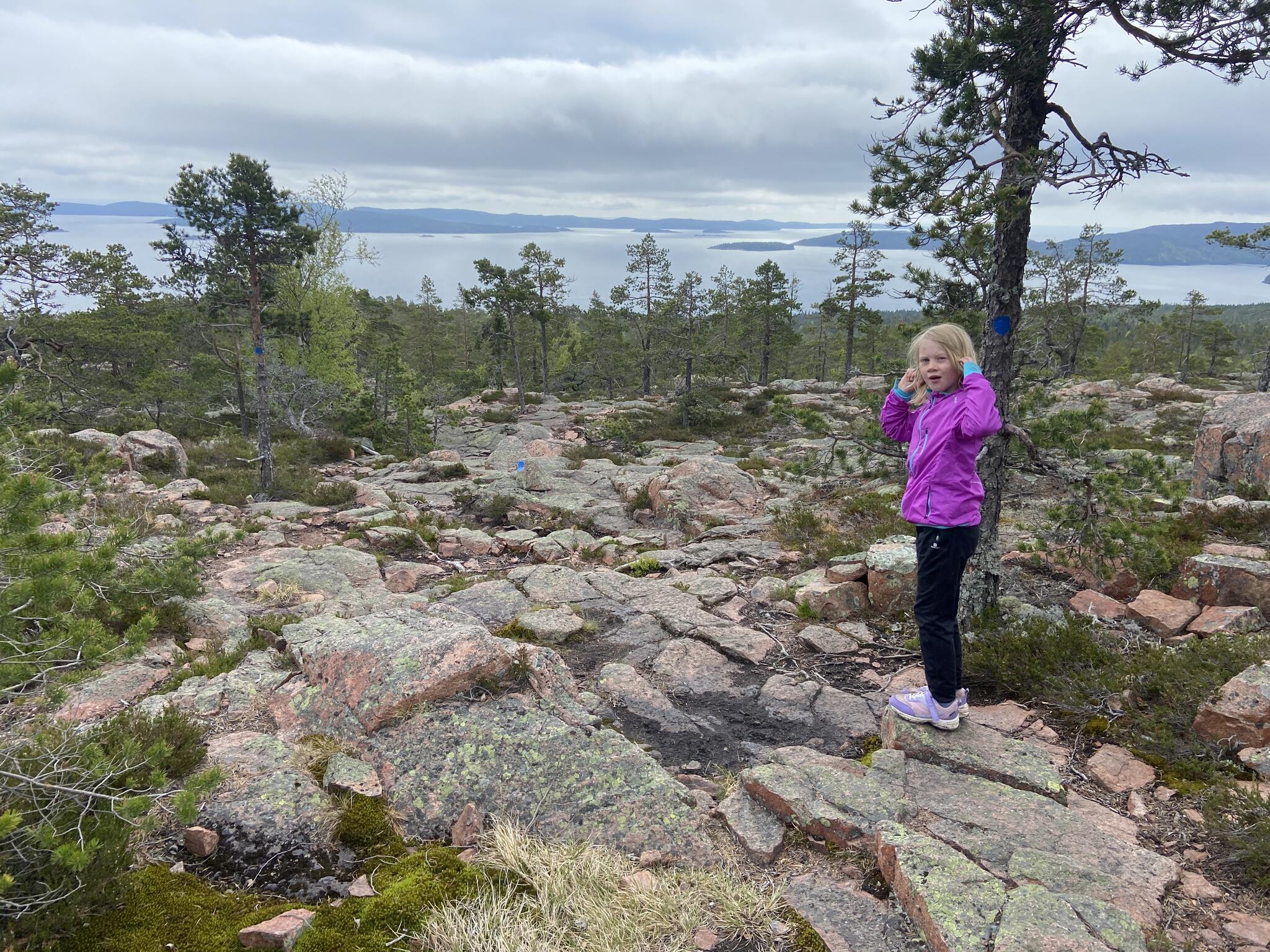 På blå stigen söderut från Tärnettvattnet.