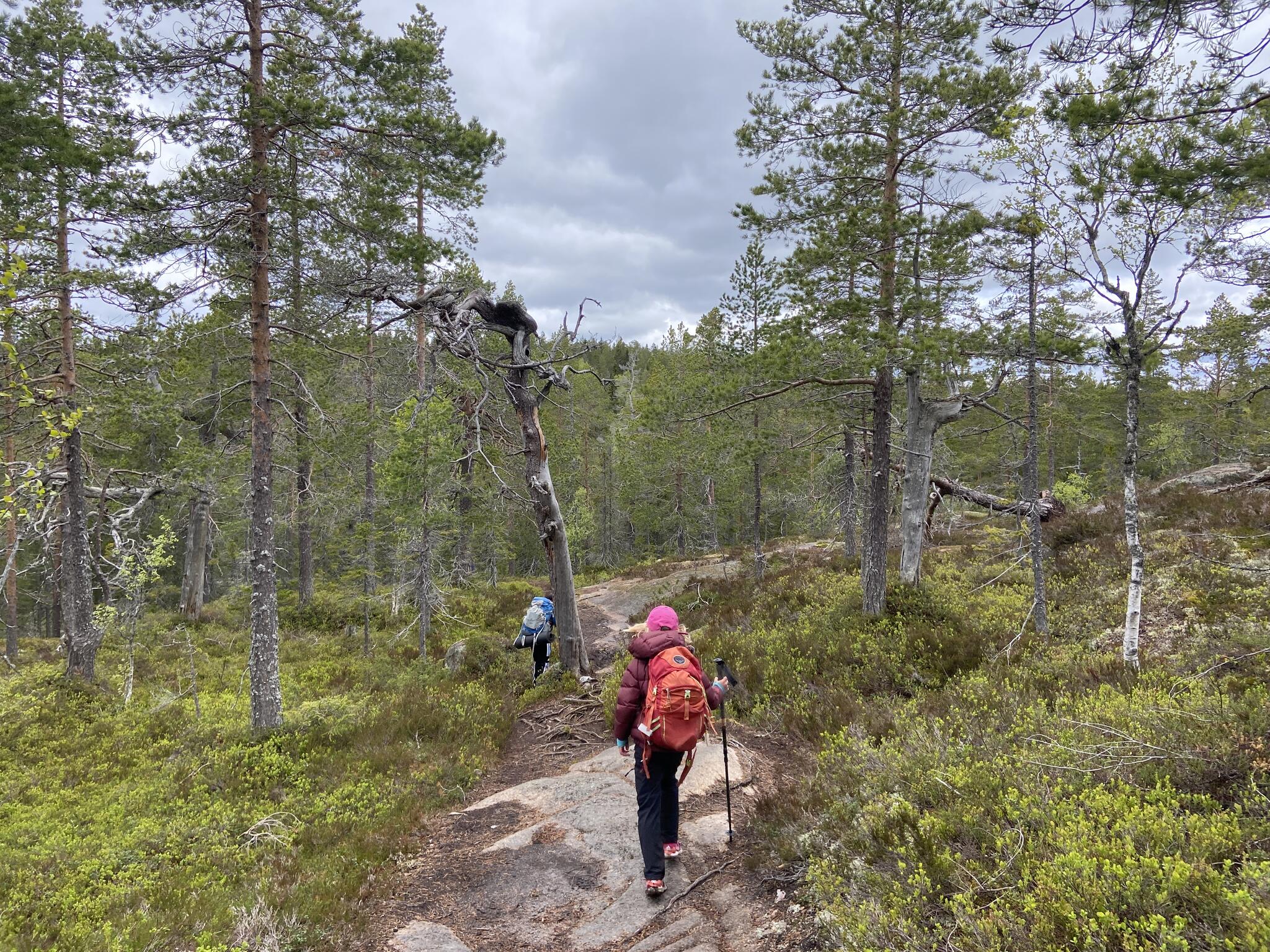 Vi vek av mot Skrattaborrtjärn. Upp över ett litet berg och sedan relativt plant längs hällar och i skog.