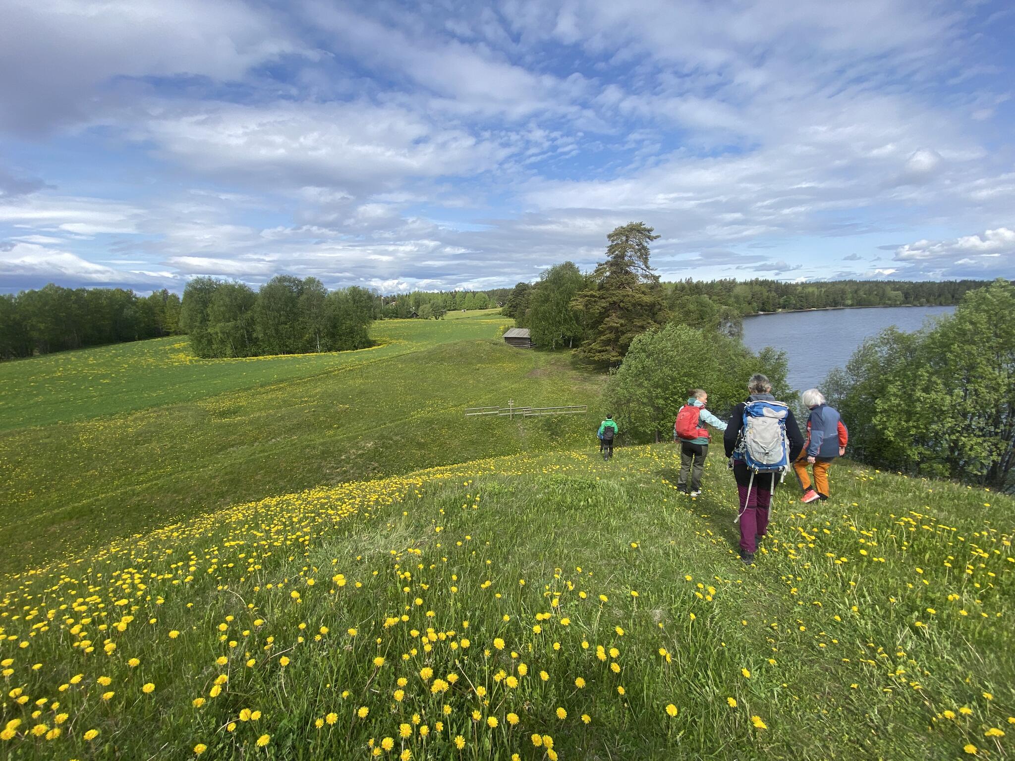 Vi började med att gå upp på Tibrandshögen. Dagen till ära sjöng vi Jämtlandssången på toppen.