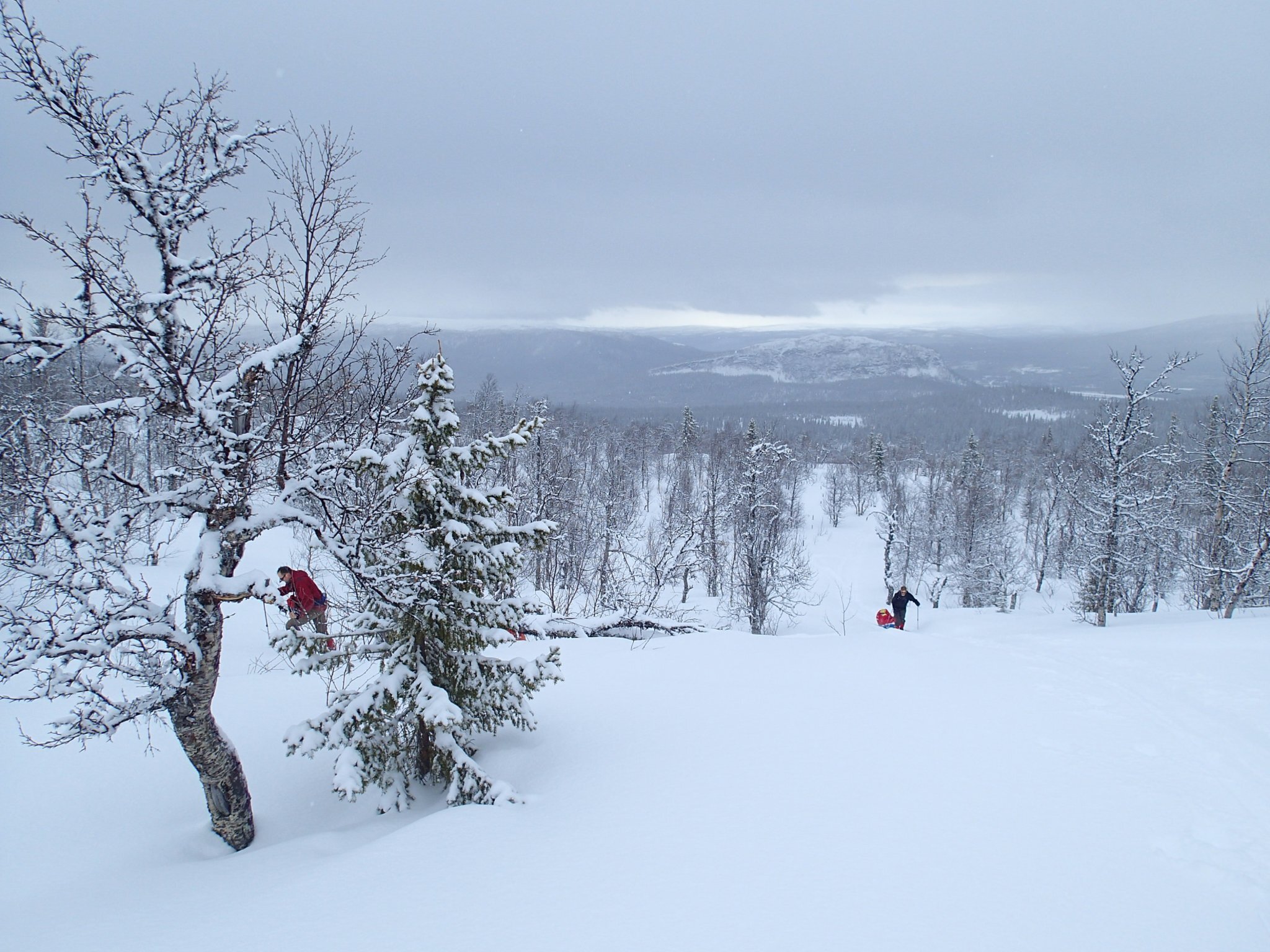 Vi skidar längs Kungsleden (skoterled) söderut. Det blev några rätt branta backar.