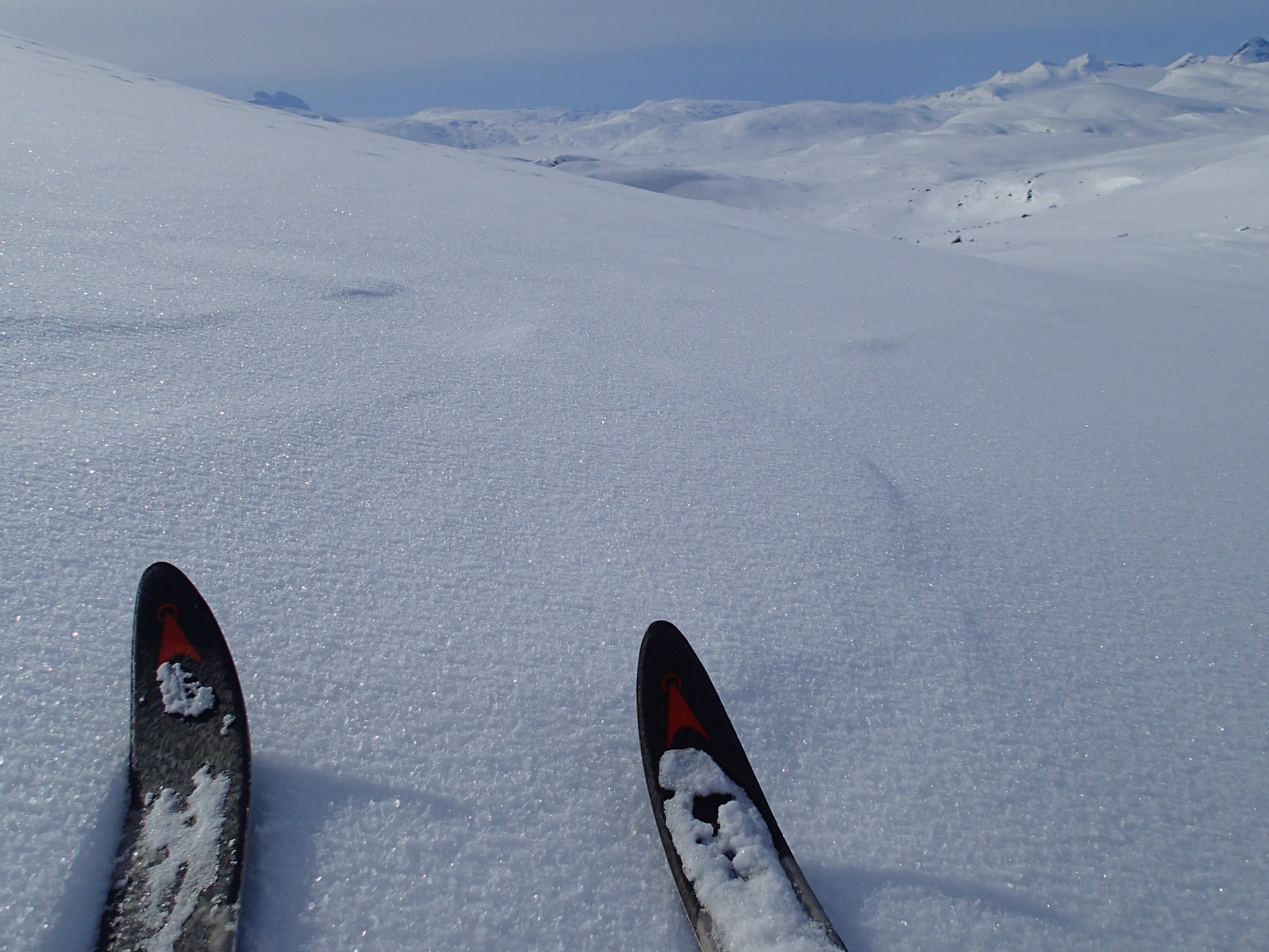 Nerfart i fin nysnö med gnistrande kristaller.