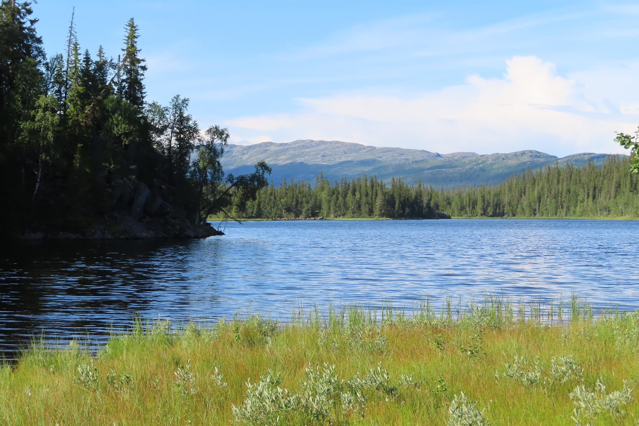 Fina skogar, sjö och fjäll
