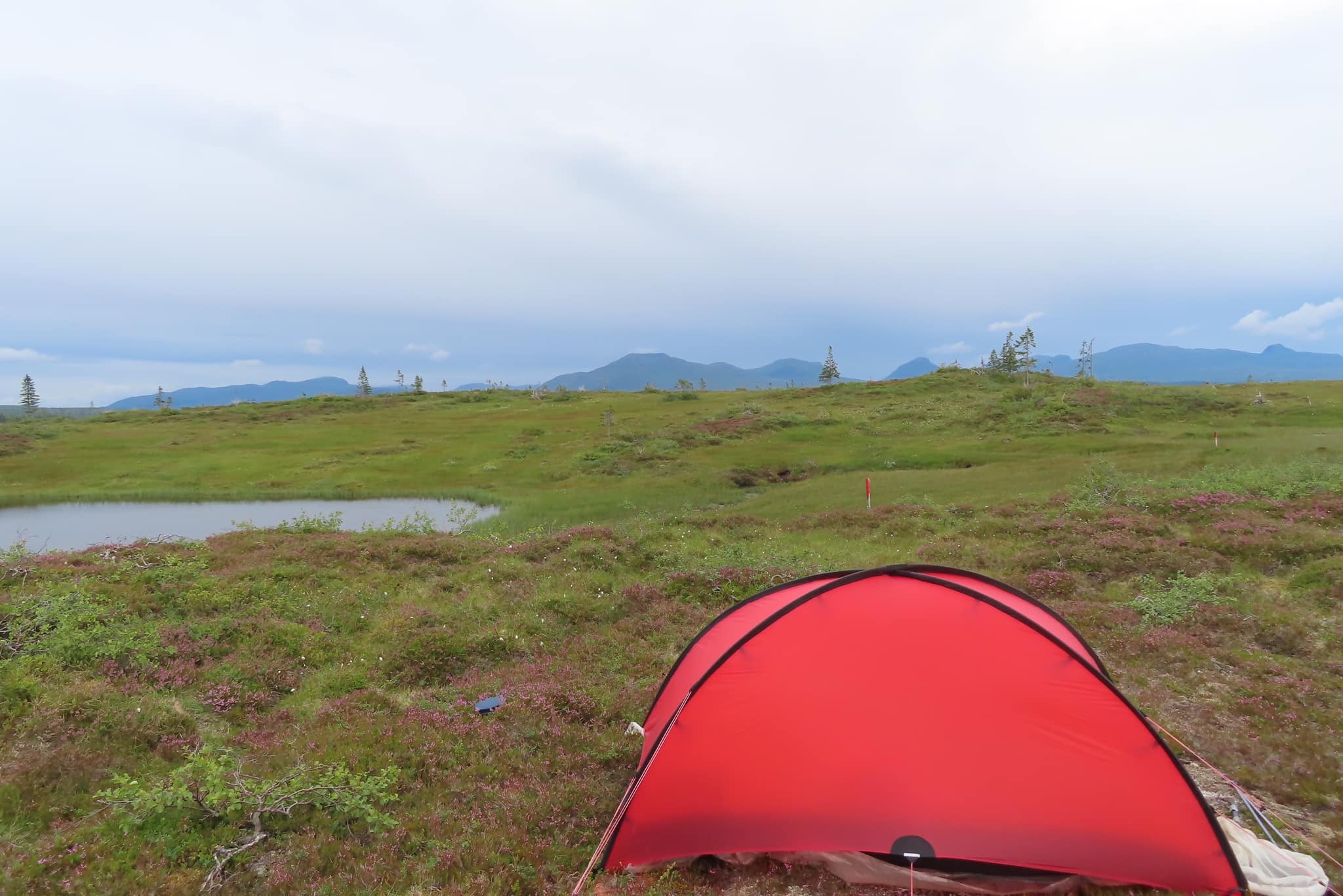Tältning 2 augusti uppe på en fjälltopp. På Reinsmyrhögda.