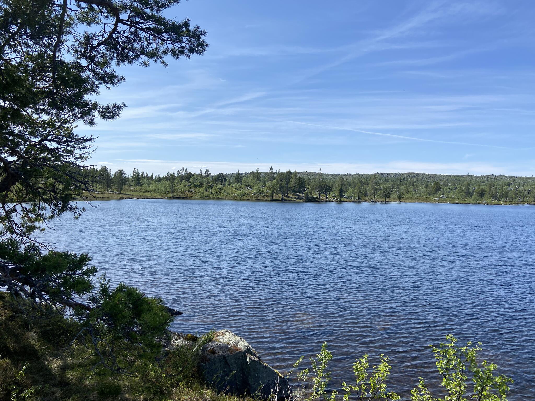 Sjön Saubogen