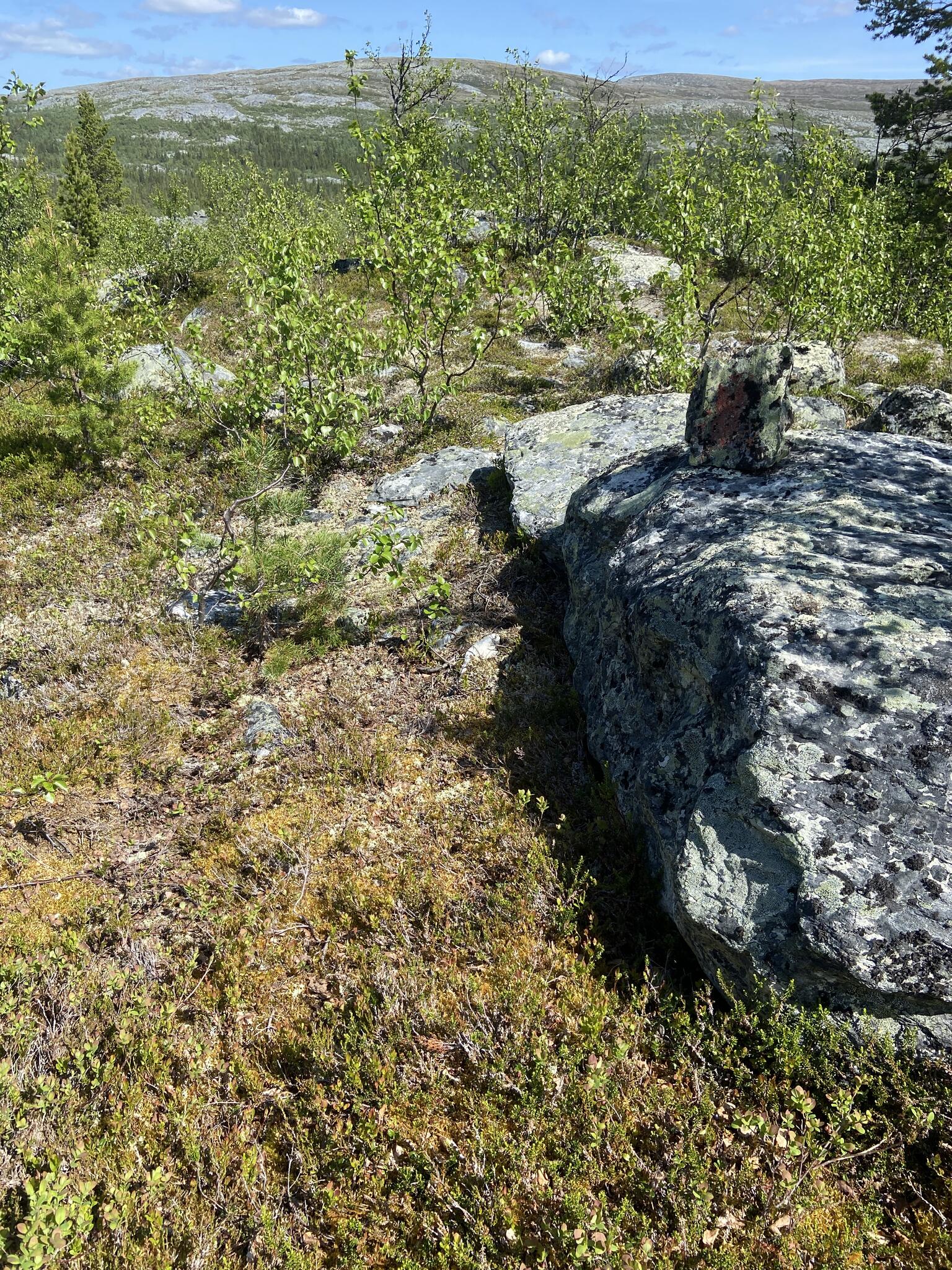 Den första ledmarkeringen vi såg var i Imbergen på en sten. Leden var svår att se överlag, men gamla knappt synliga markeringar och svagt upptrampad stig.