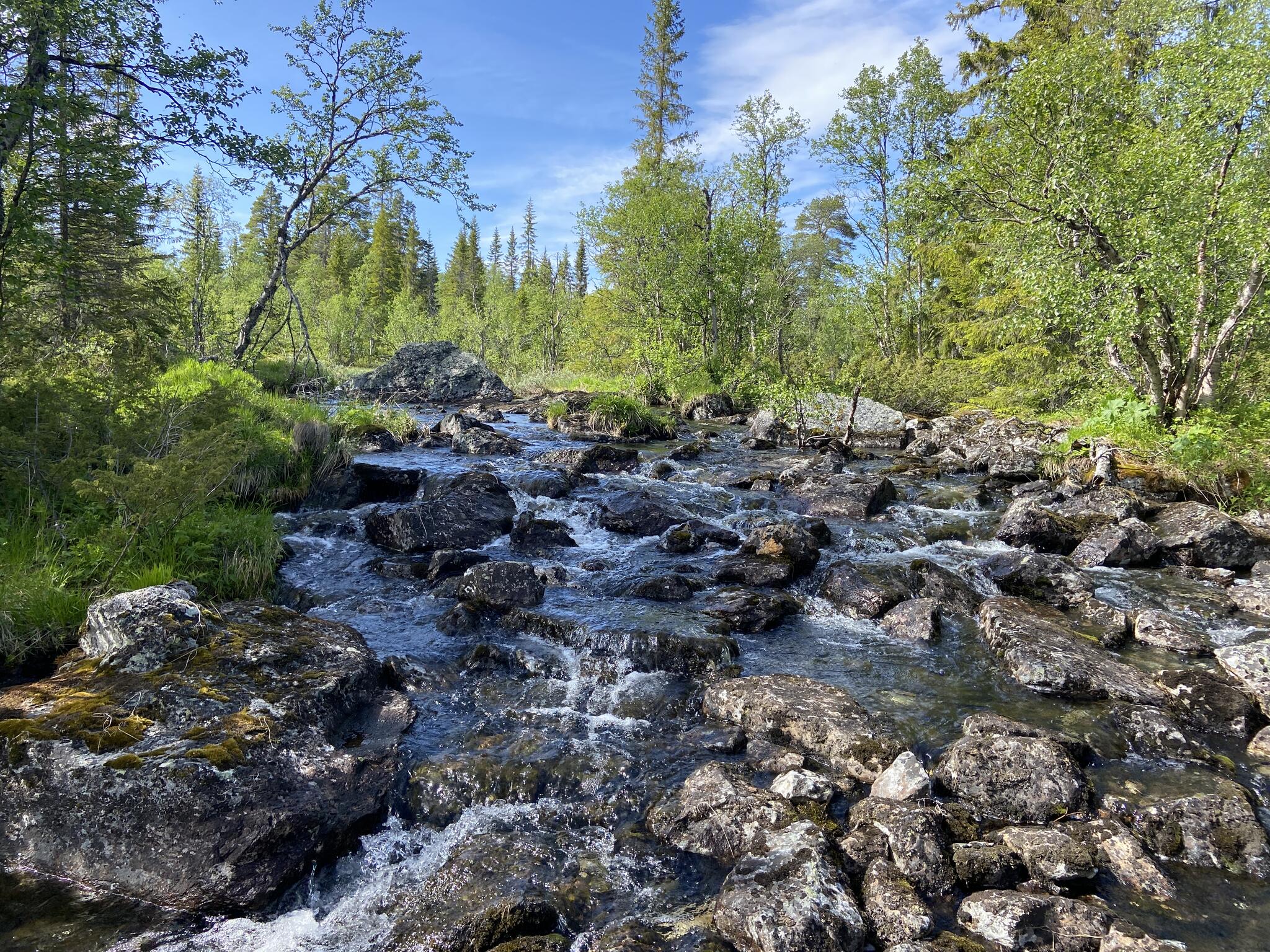 En av många bäckar vi gick över.