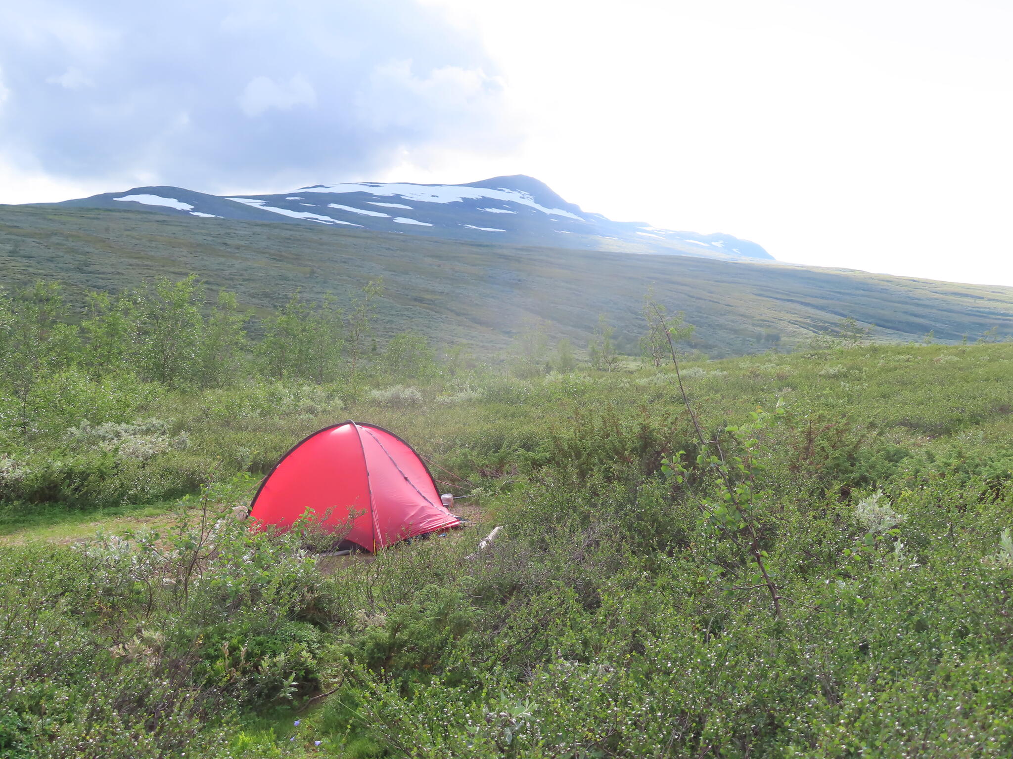 Det blåste på en hel del denna natt. Jag hade ok med lä för tältet, då det till vänster om bilden är en björdunge.