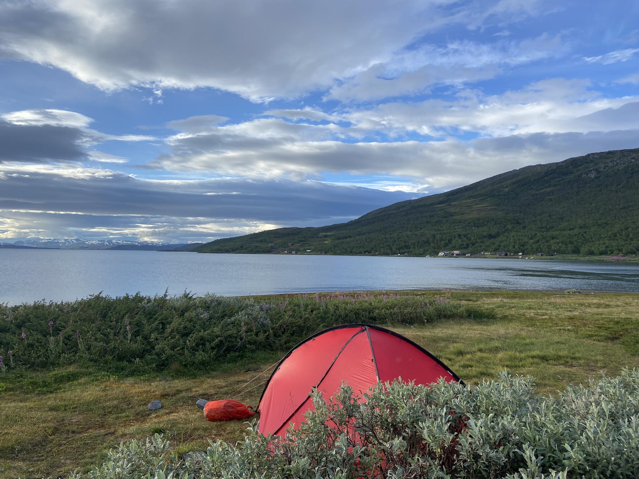 Då det hade blåst mycket så placerade jag mitt tält så nära de lägivande buskarna som var möjligt.