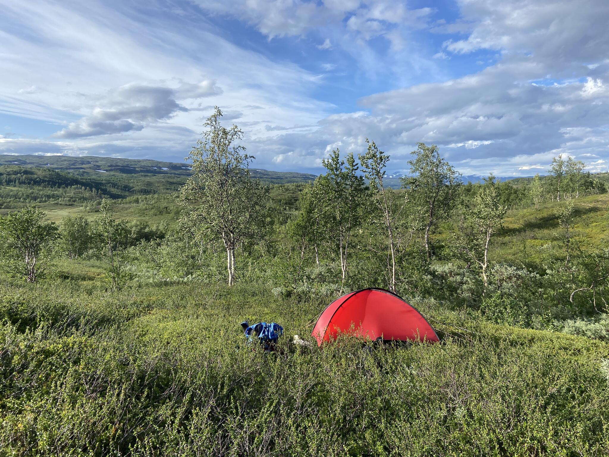 Det var rätt blåsigt, men jag hittade en ok tältplats vid en bäckravin några hundra meter från en fjällstuga.