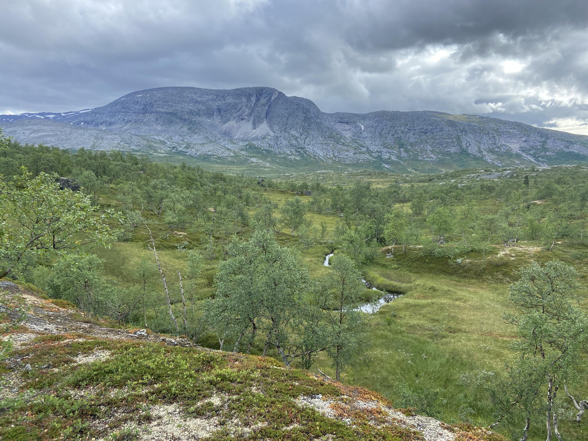 Det fina Viskisfjellet följde mig några timmar.