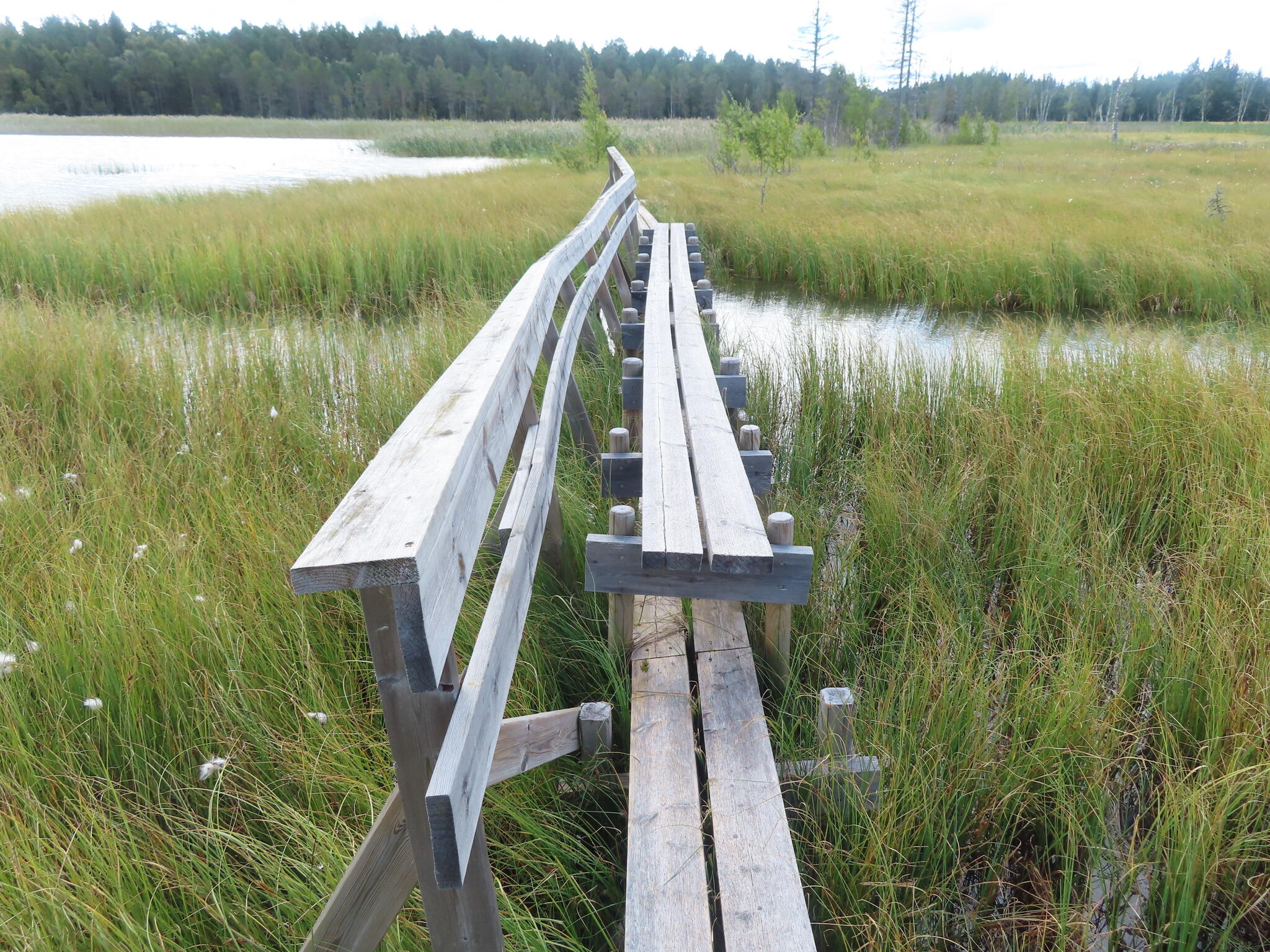 På denna går man på en lång spång. Här kändes räcker lite vingligt.