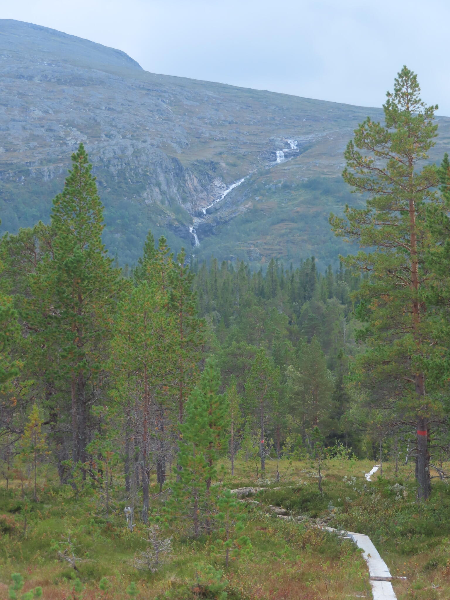 Alla små fall och forsar vid Silverfallet.
