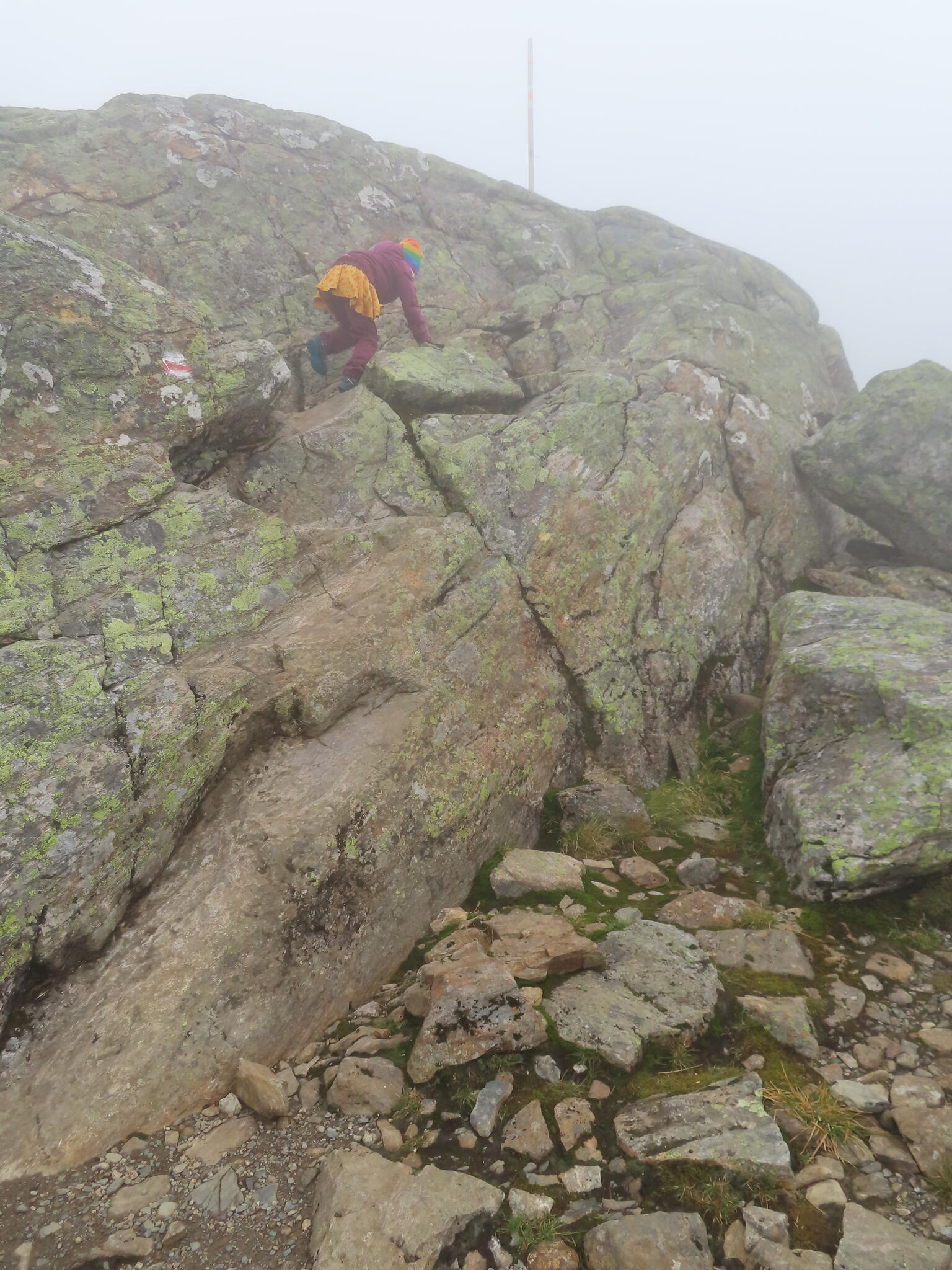 Den branta vägen upp